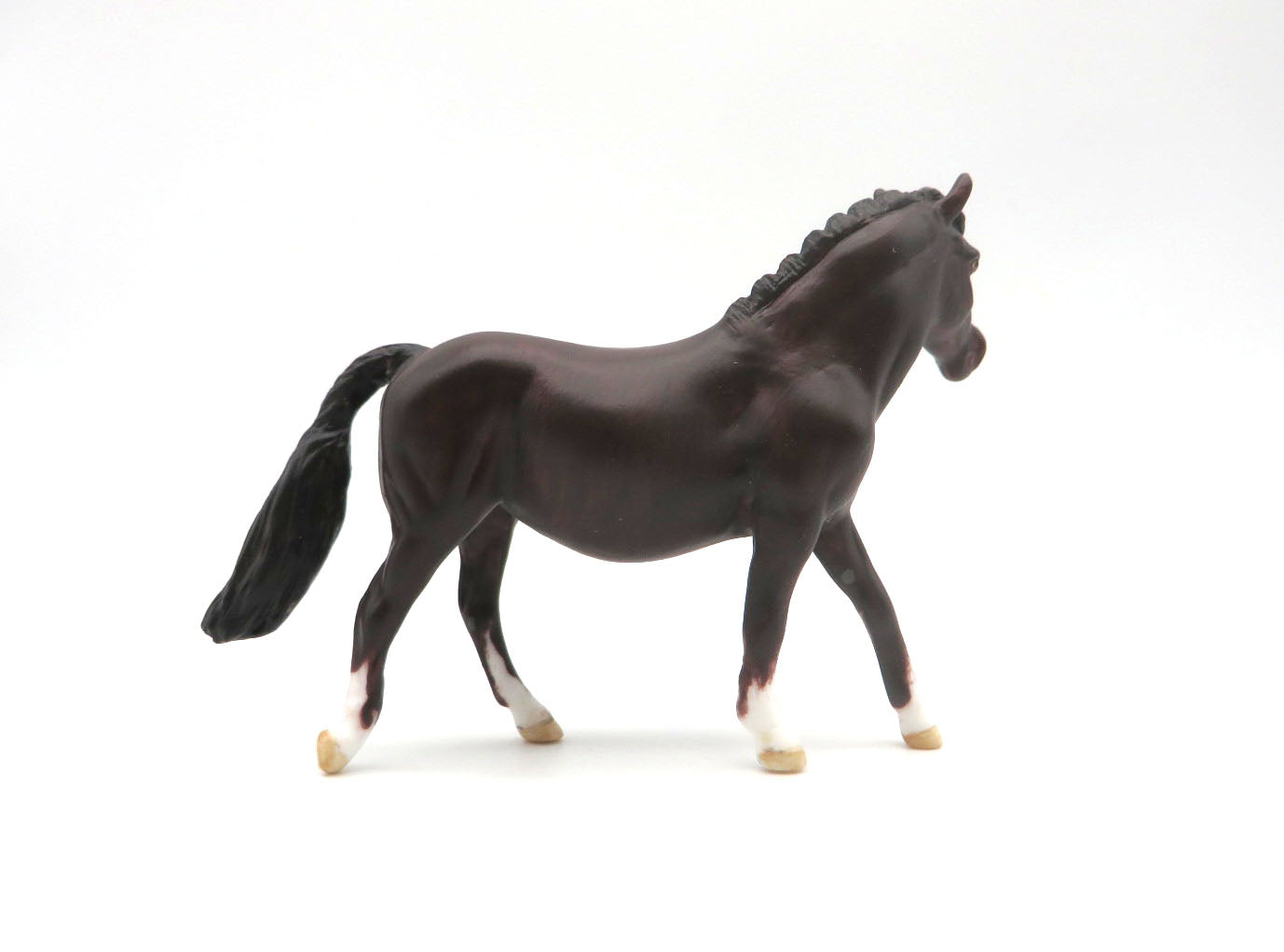 CUYAHOGA -OOAK Bay Pony Chip LHS 22