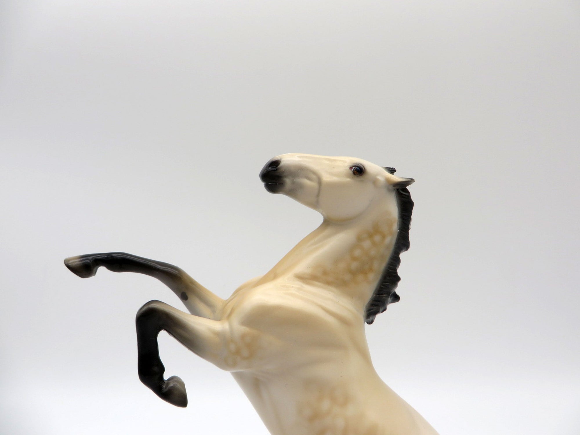 Canyon-OOAK Dapple Buckskin Rearing Pebbles Painted By Audrey Dixon 5/28/21