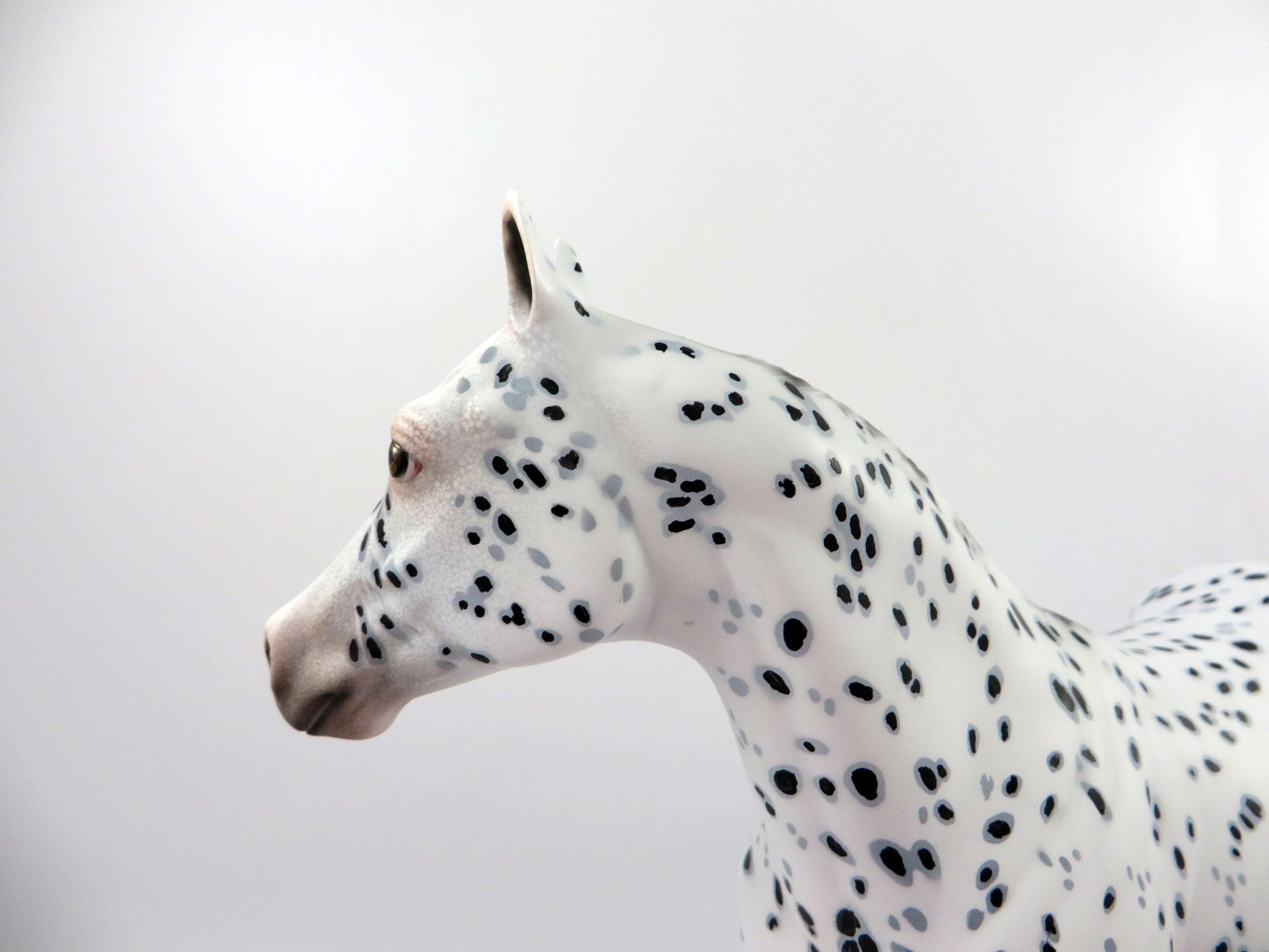 Caoimhe-OOAK Loud Appaloosa ISH Painted By Dawn Quick 4/13/21