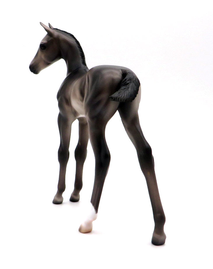 Capistrano-OOAK Buckskin Foal by Caroline Boydston 10/11/21