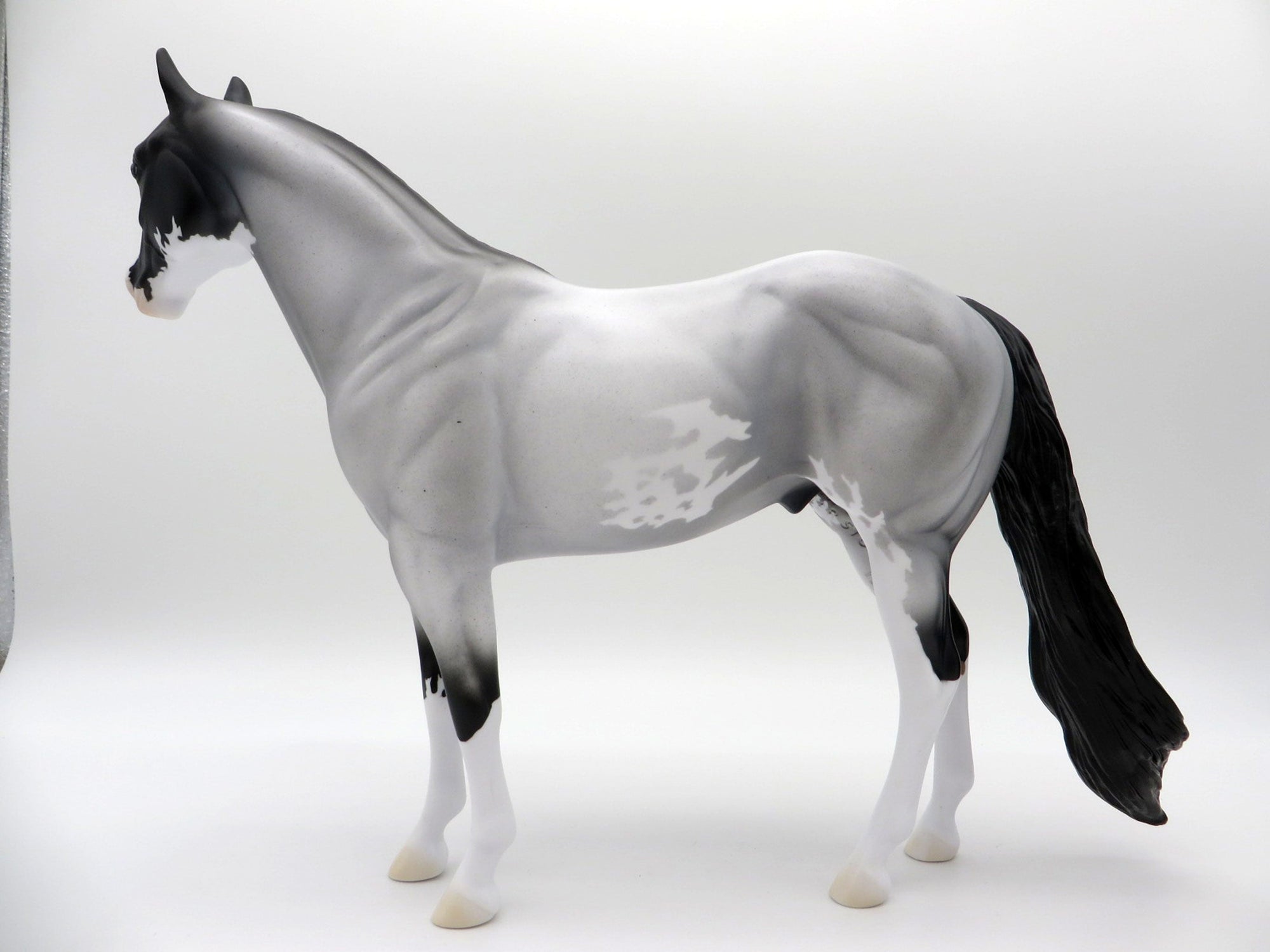 Caridad-OOAK Blue Roan ISH SHCF 2021