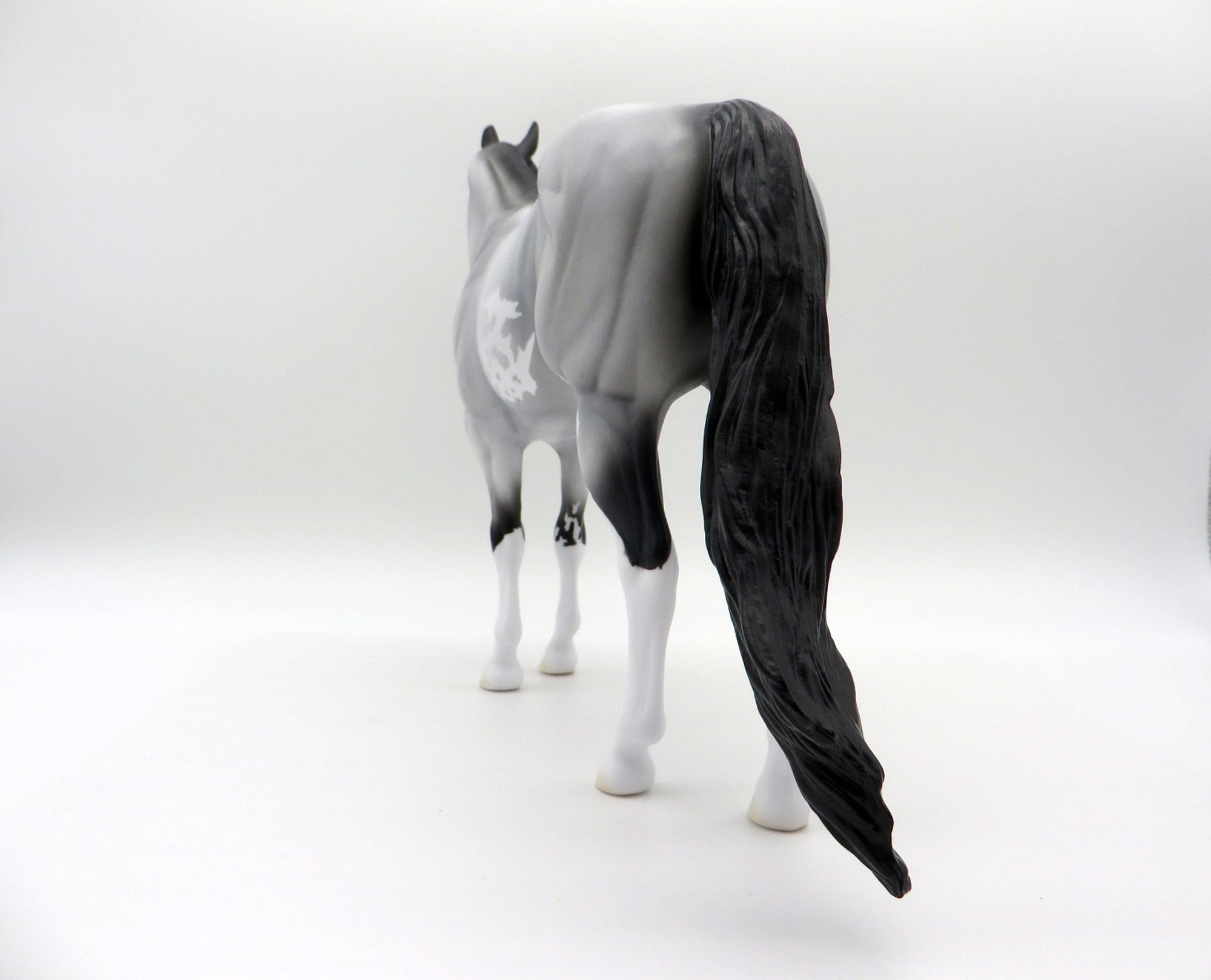 Caridad-OOAK Blue Roan ISH SHCF 2021