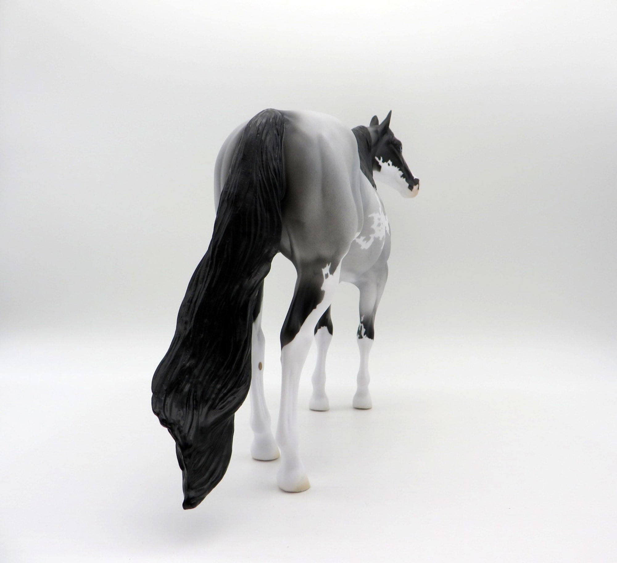 Caridad-OOAK Blue Roan ISH SHCF 2021