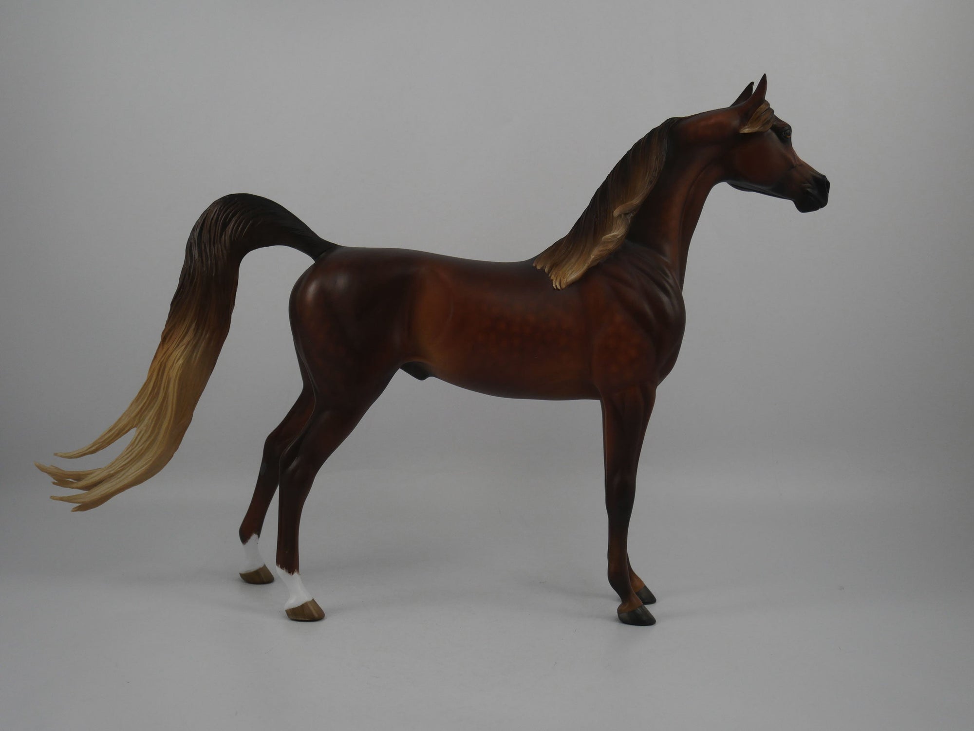 Carvelli-OOAK Dapple Chestnut Arabian Painted By Sheryl Leisure 1/29/21