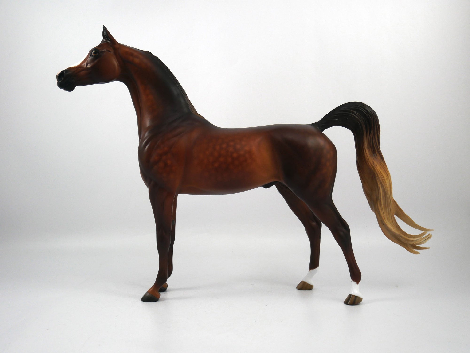Carvelli-OOAK Dapple Chestnut Arabian Painted By Sheryl Leisure 1/29/21