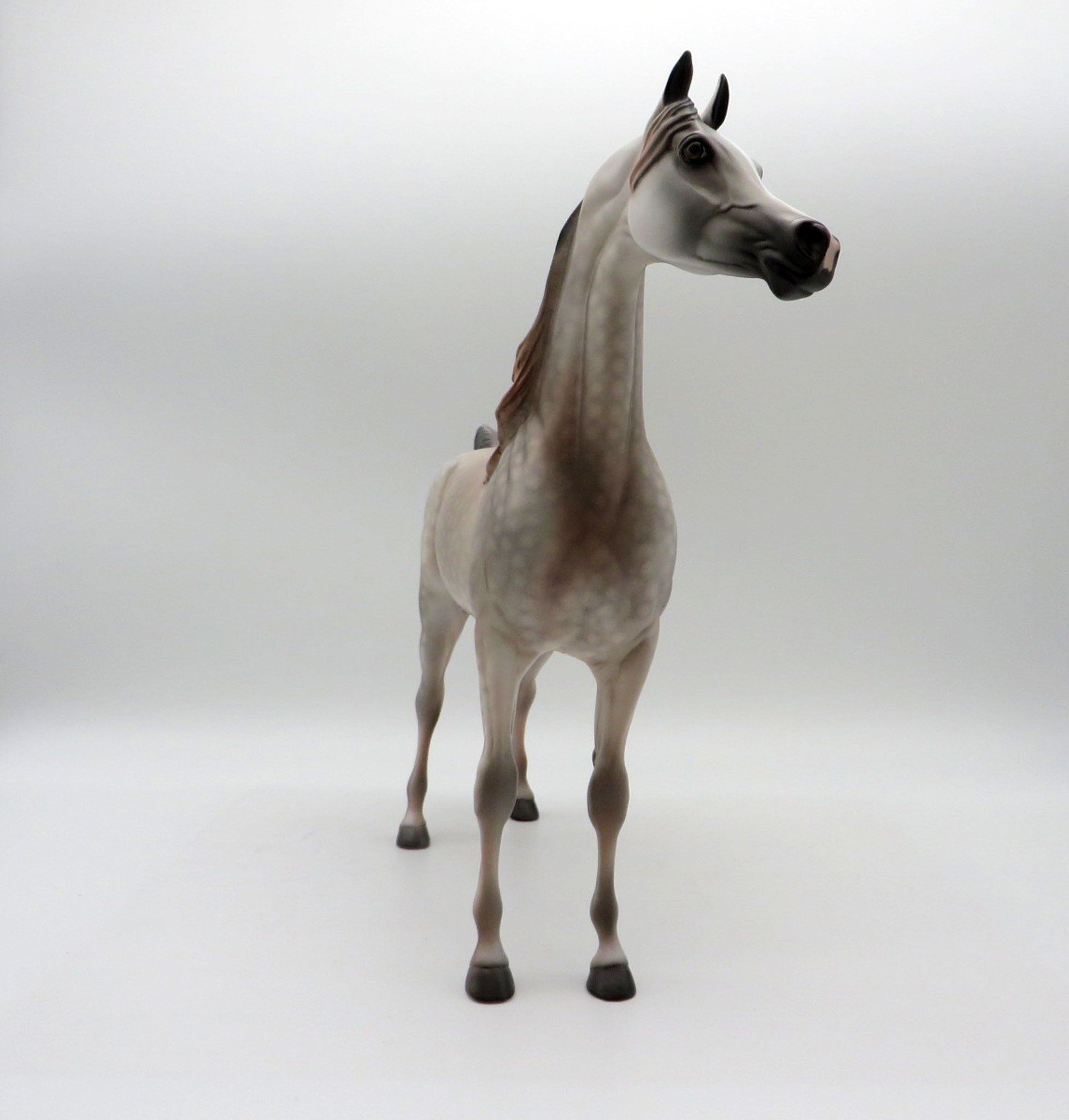 Cashmere-OOAK Dapple Grey Arabian Painted By Dawn Quick 5/14/21