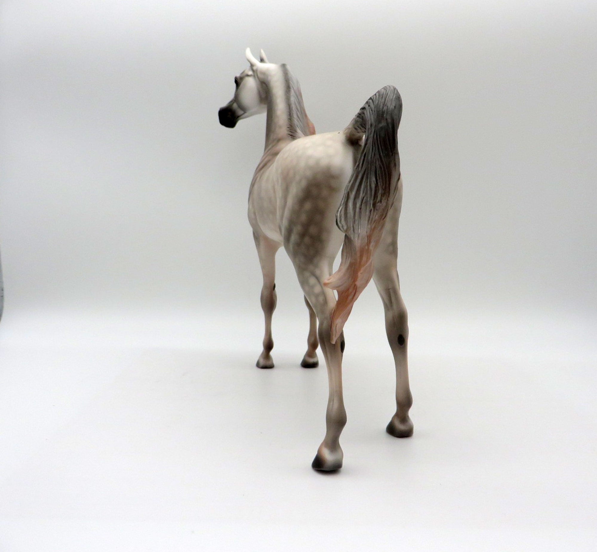 Cashmere-OOAK Dapple Grey Arabian Painted By Dawn Quick 5/14/21