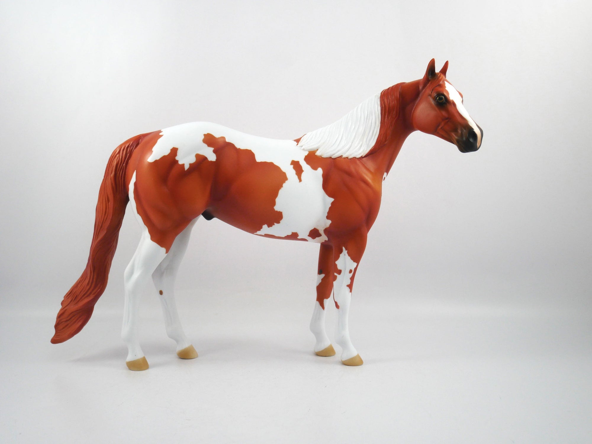 Catch The Pass-OOAK Chestnut Paint ISH SB21