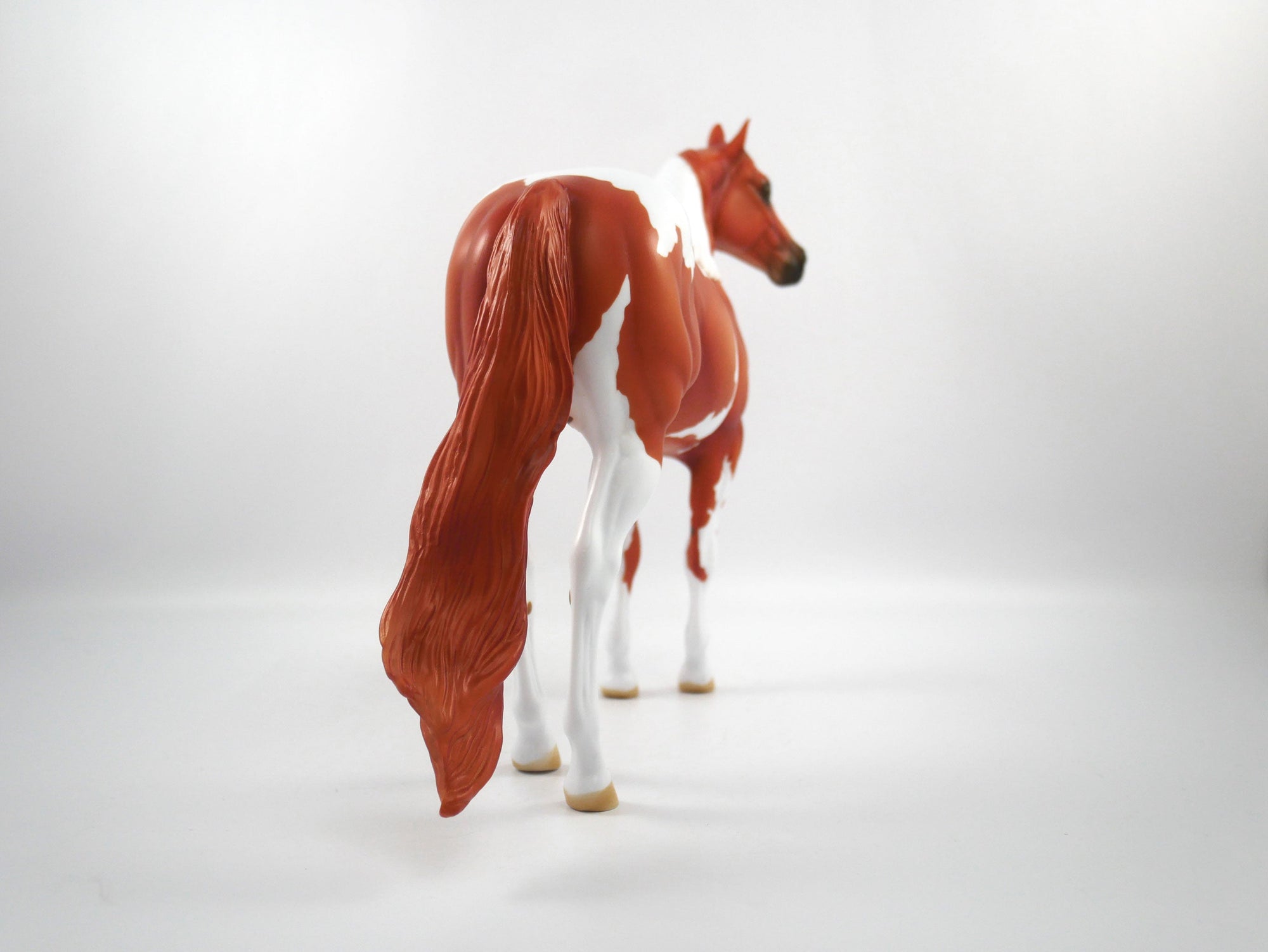 Catch The Pass-OOAK Chestnut Paint ISH SB21