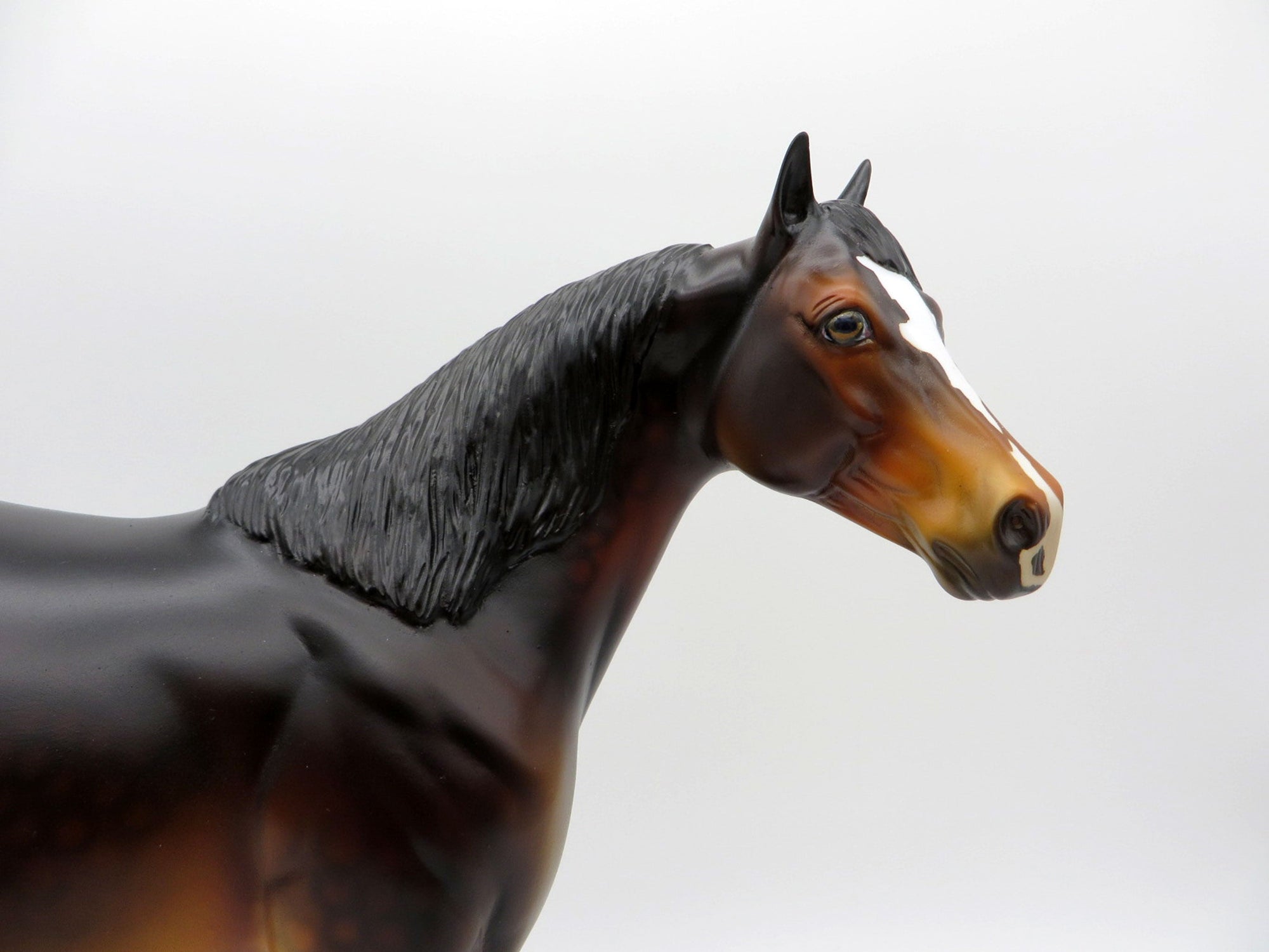 Catfish-OOAK Dapple Bay ISH Painted BY Dawn Quick 7/16/21