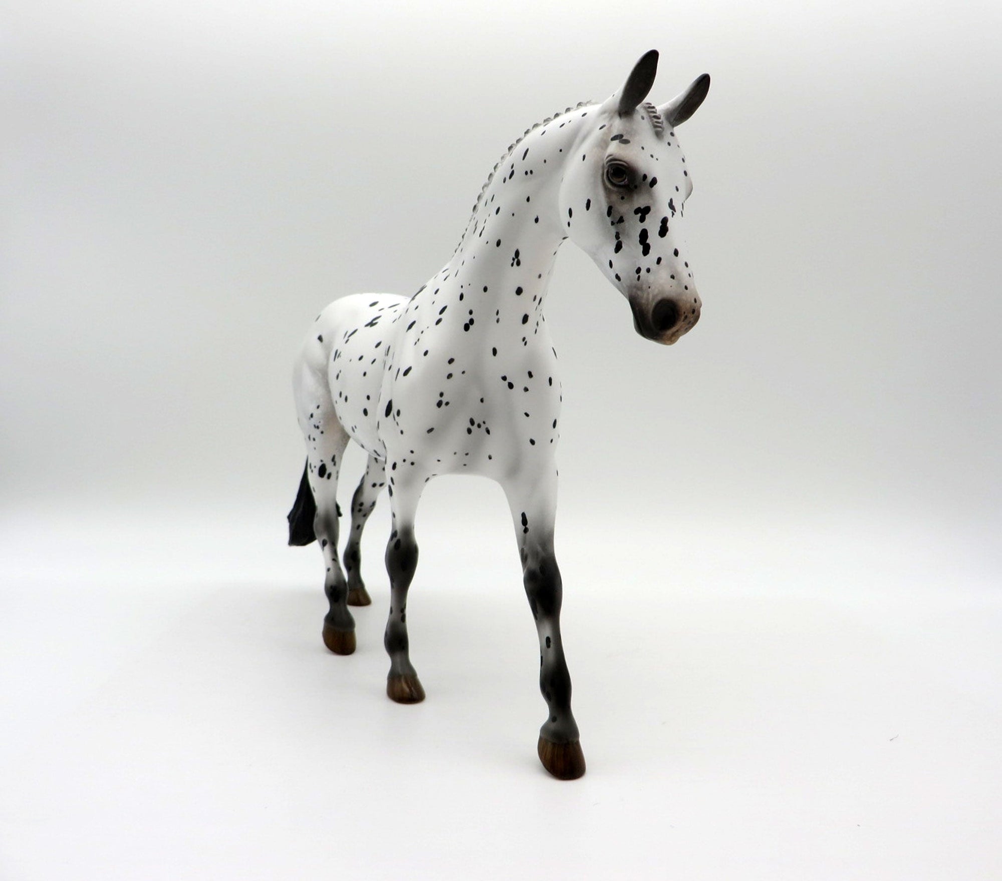 Catmint-OOAK Loud Appaloosa Pony SHCF 2021