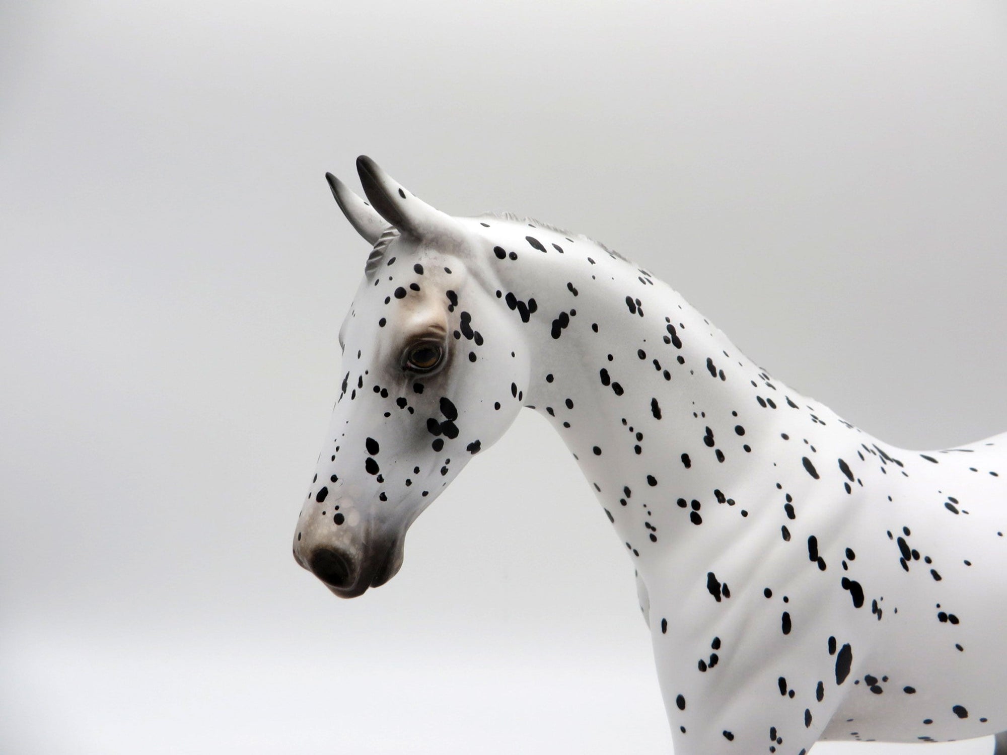 Catmint-OOAK Loud Appaloosa Pony SHCF 2021