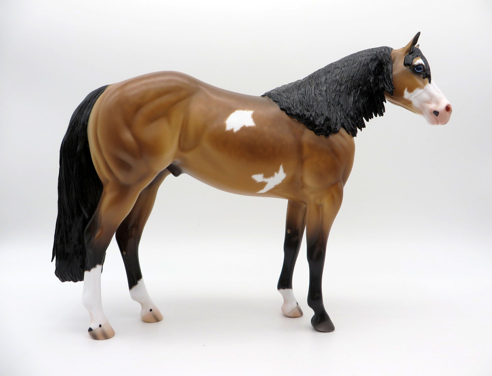 Cavell-OOAK Dun ISH Pinto Painted By Caroline Boydston 7/12/21