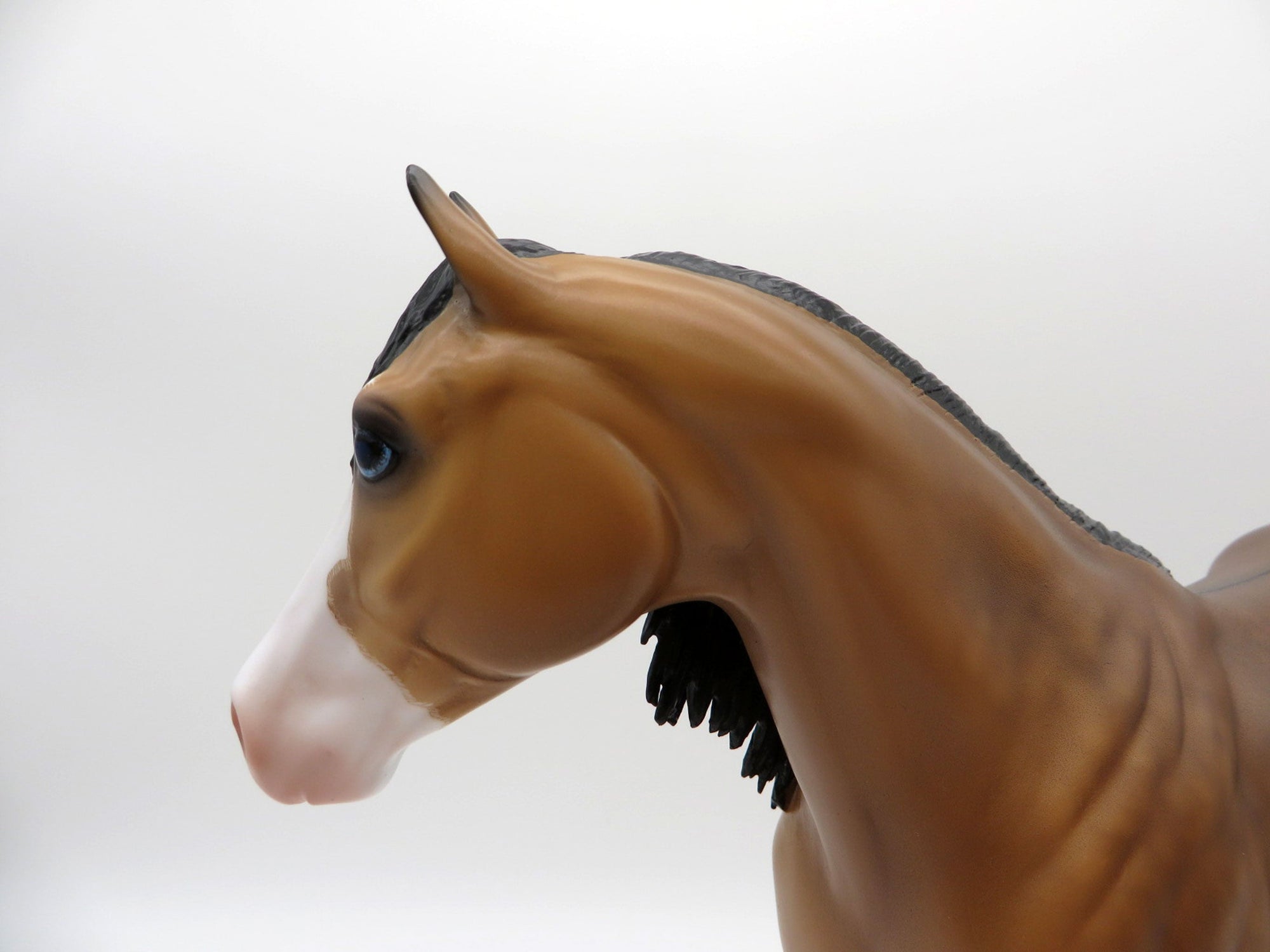 Cavell-OOAK Dun ISH Pinto Painted By Caroline Boydston 7/12/21