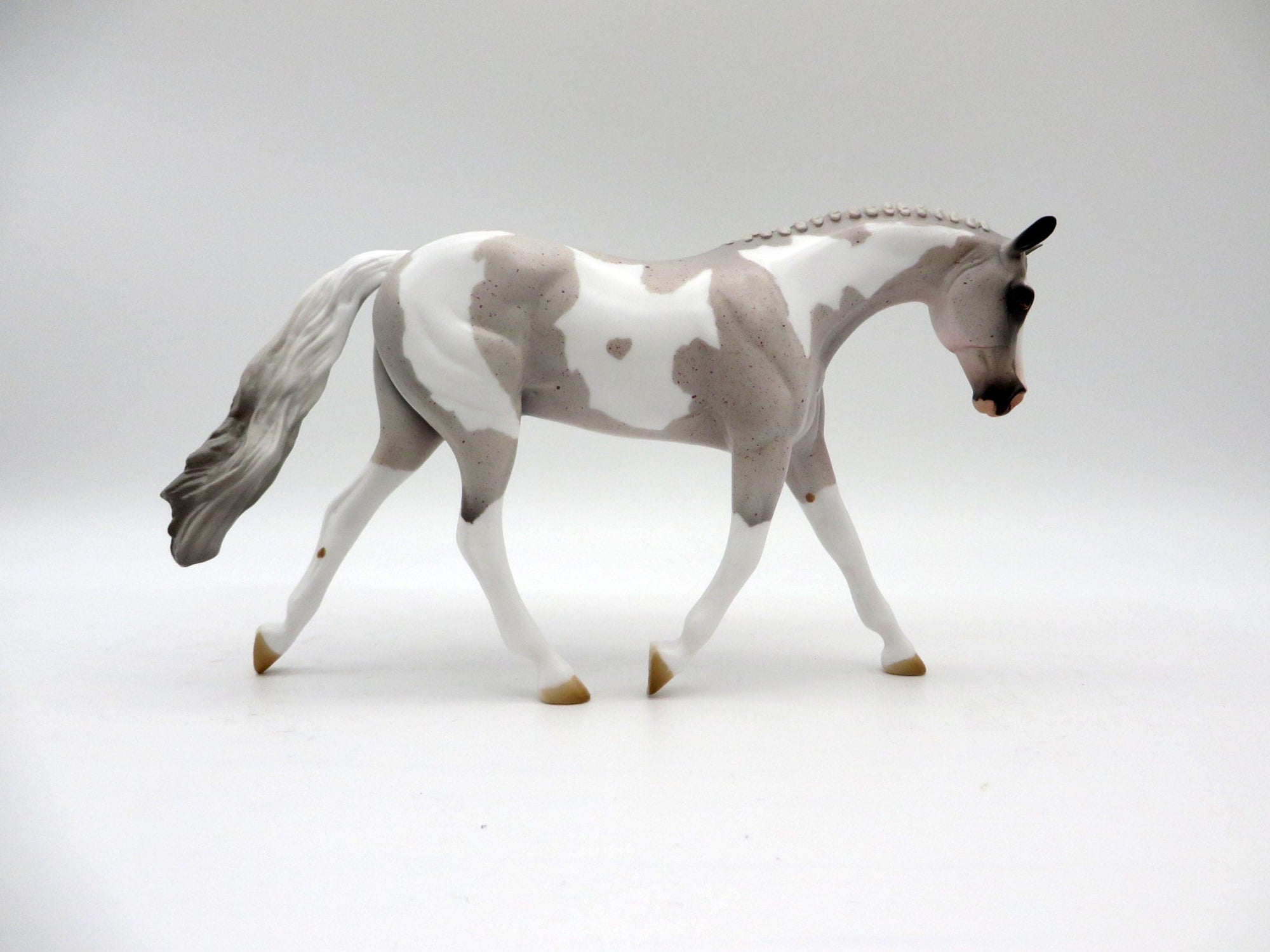 Caymus-OOAK Fleabit Roan Warmblood Pinto Pebbles 5/21/21