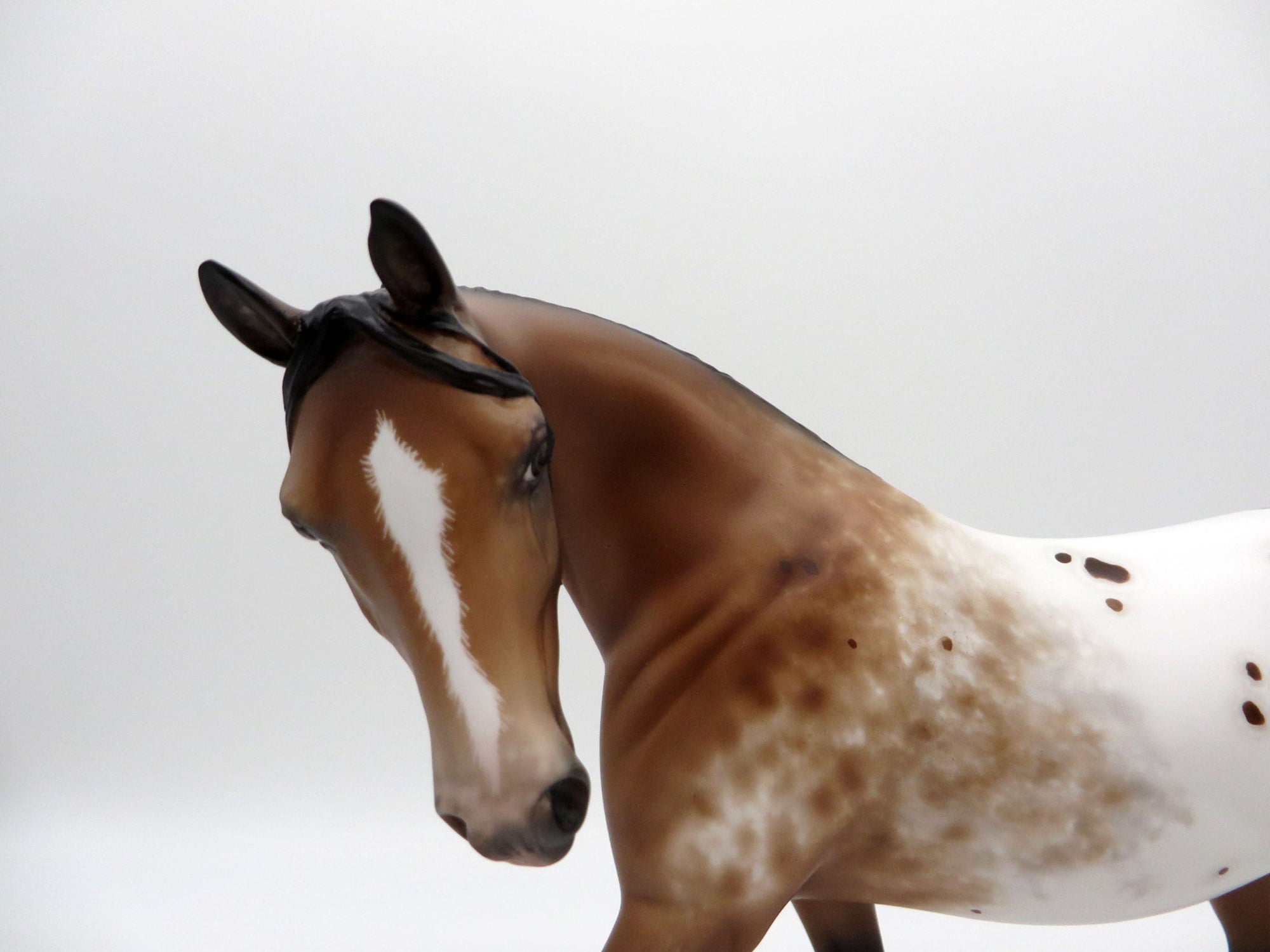 Cedric-OOAK Appaloosa Bay Pony 4/26/21
