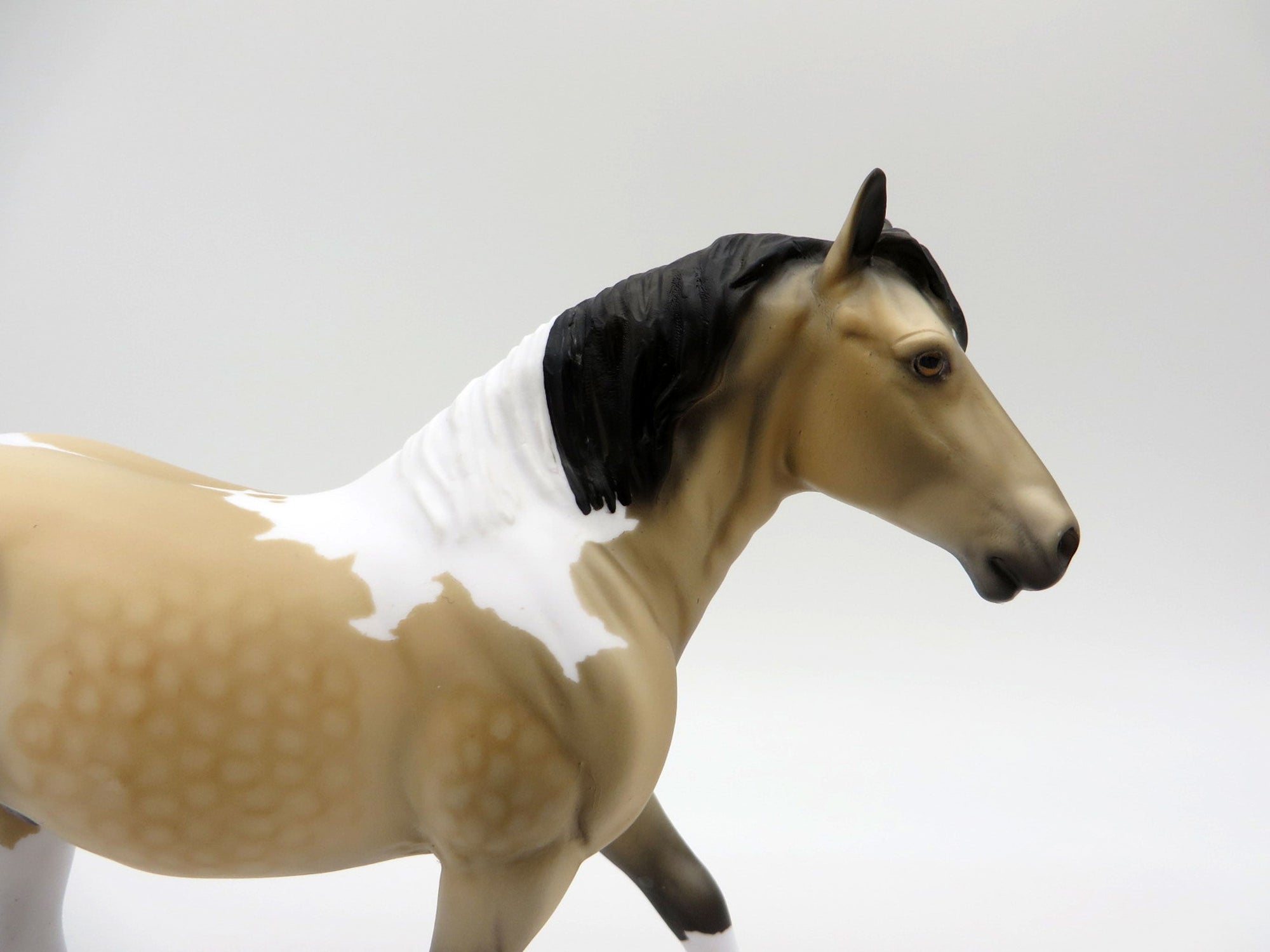 Cepheus-OOAK Dapple Buckskin Trotting Draft SHCF 2021