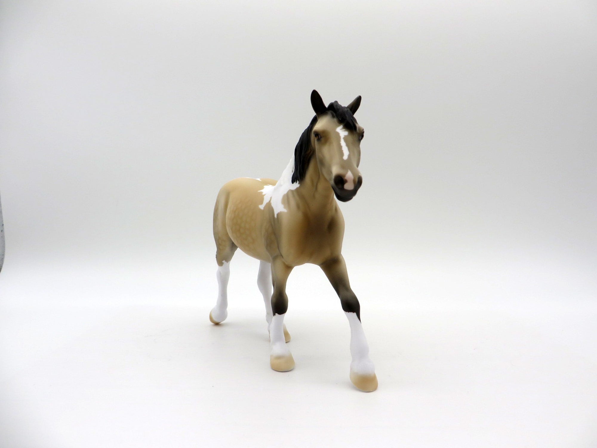 Cepheus-OOAK Dapple Buckskin Trotting Draft SHCF 2021