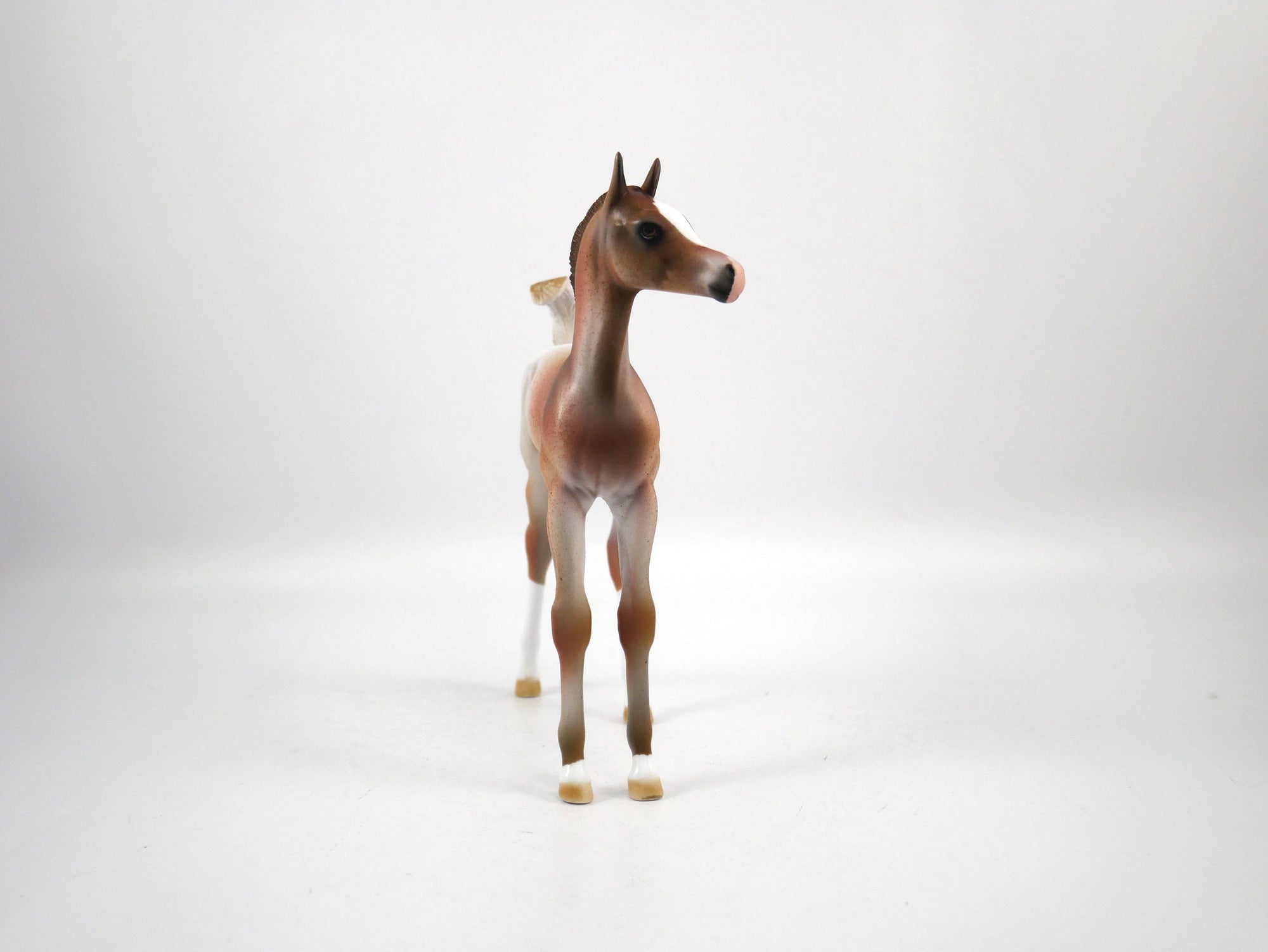 Champ-OOAK Chestnut Arabian Foal Painted by Dawn Quick SB21