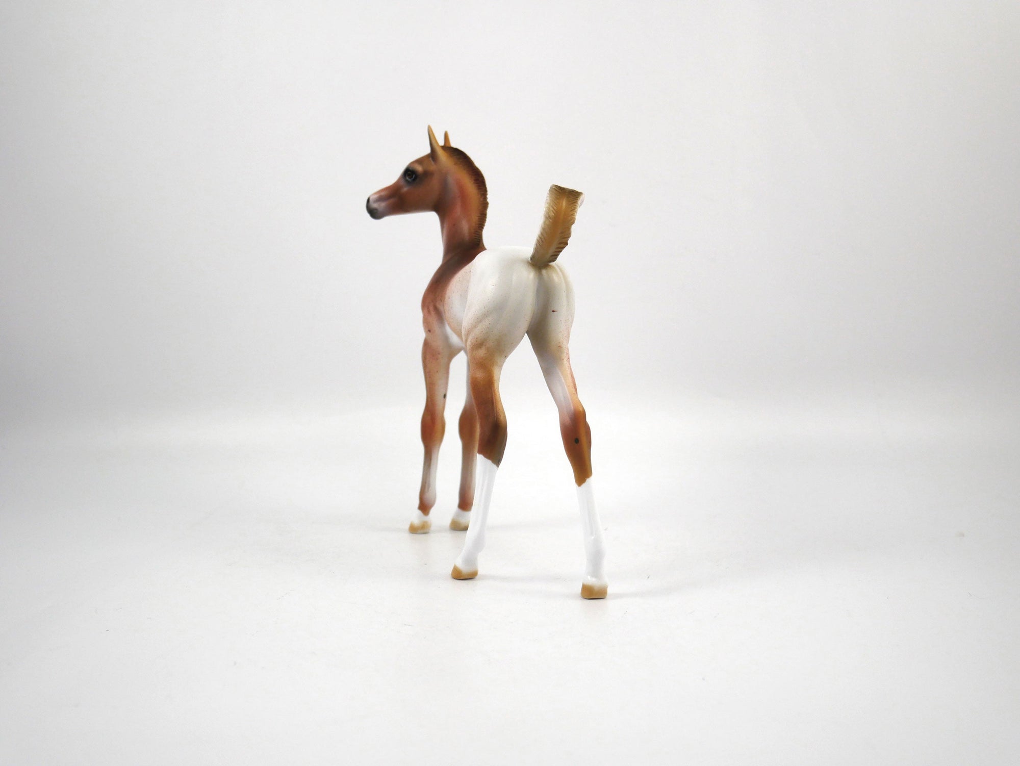 Champ-OOAK Chestnut Arabian Foal Painted by Dawn Quick SB21