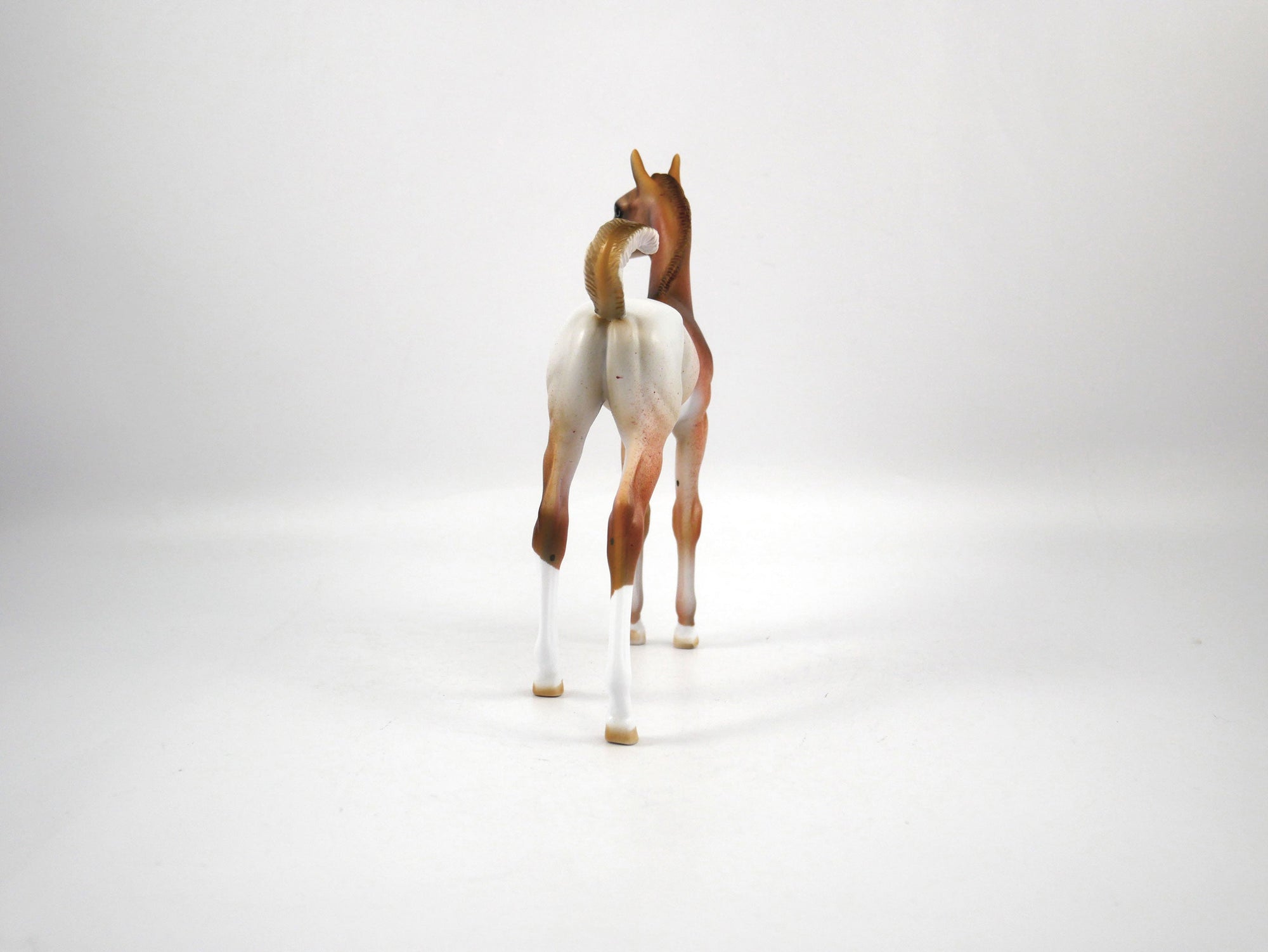 Champ-OOAK Chestnut Arabian Foal Painted by Dawn Quick SB21