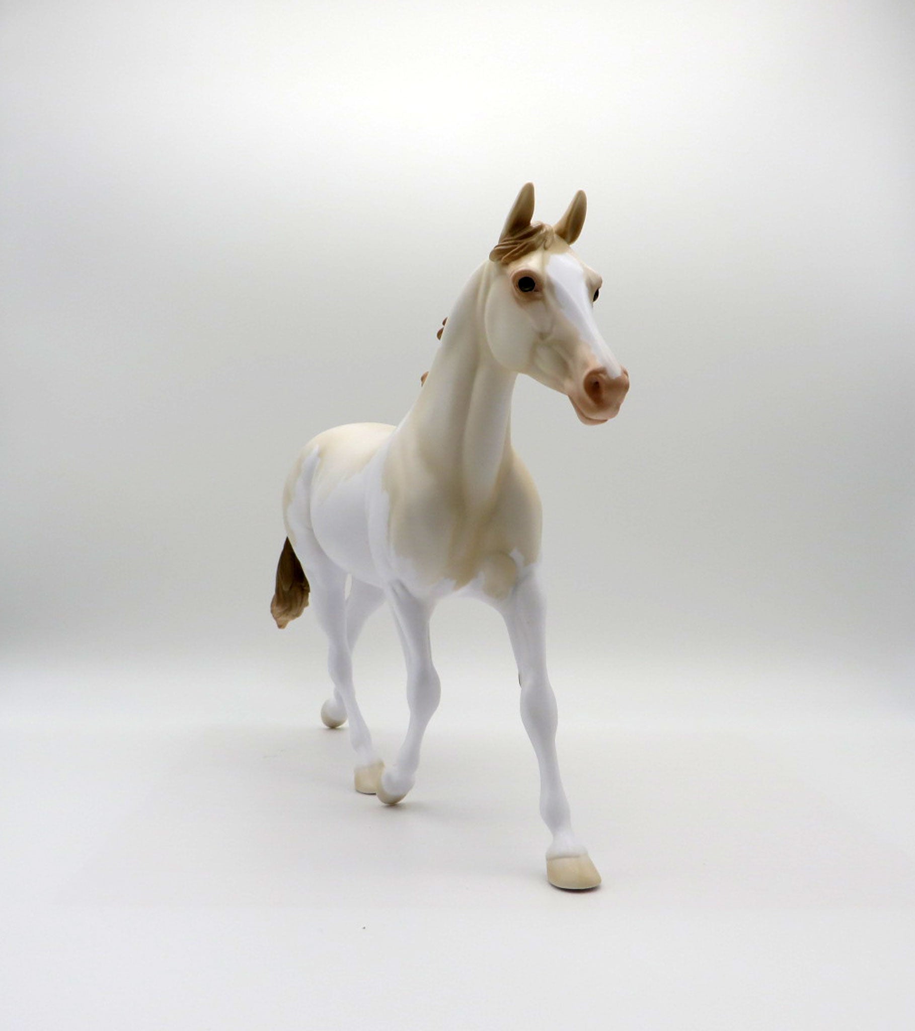 Champagne Pearl OOAK Palouse SHCF 2021