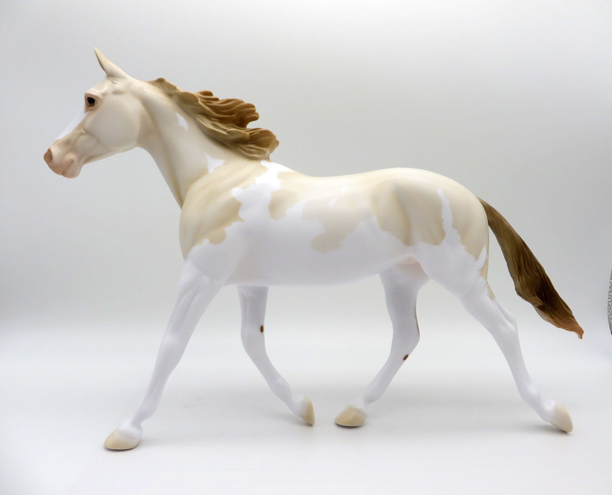 Champagne Pearl OOAK Palouse SHCF 2021