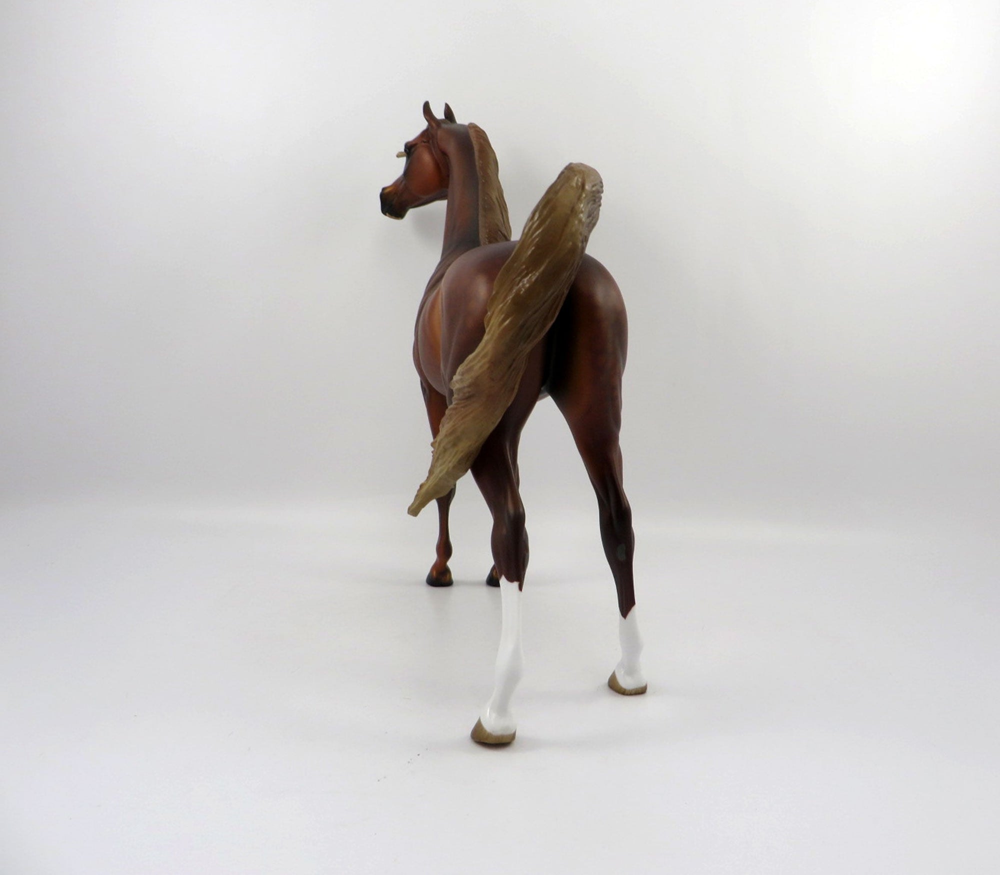 Champion-OOAK Dapple Chestnut Arabian 3/21