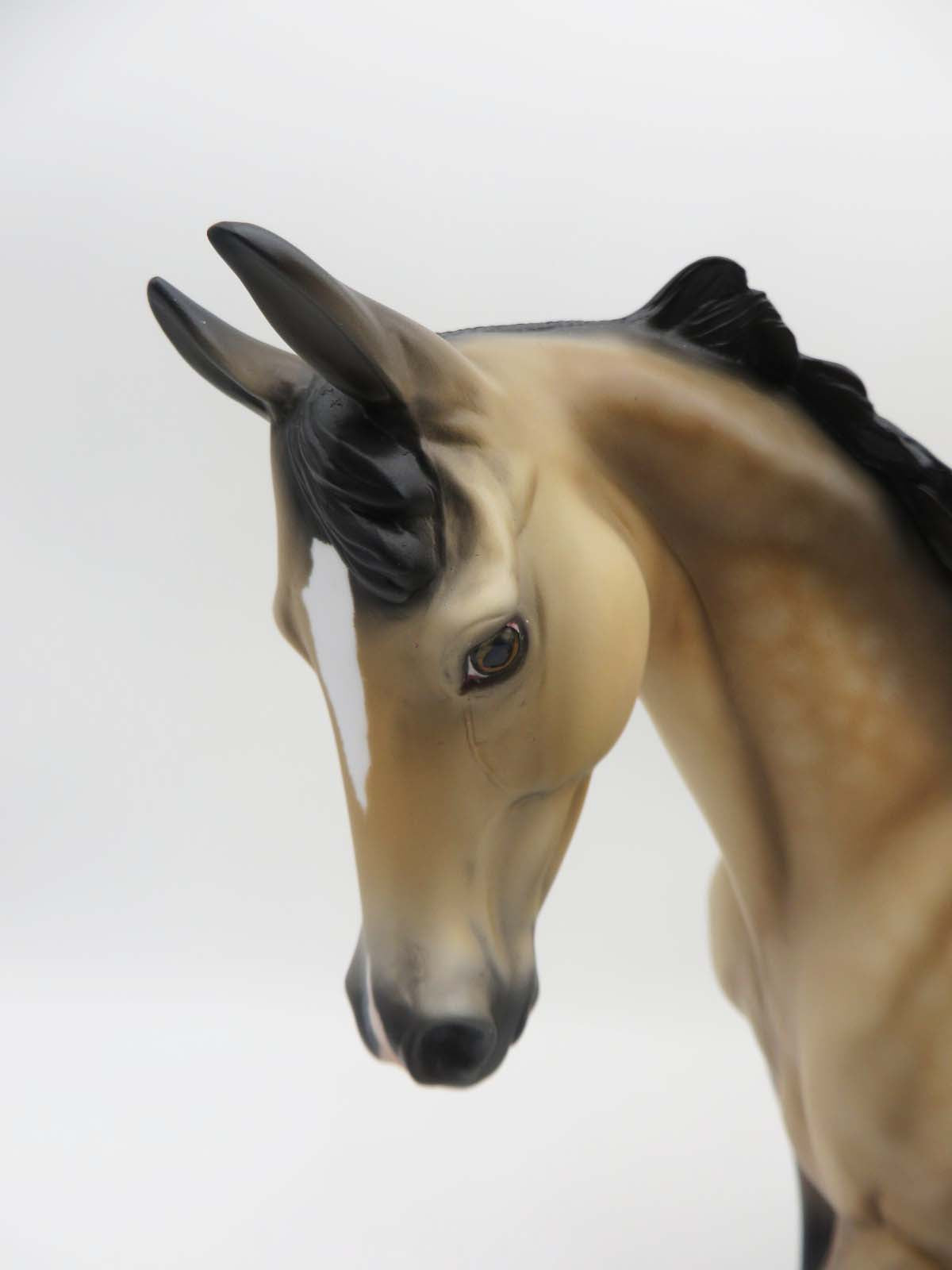 Chaps OOAK Bucskin Thoroughnred By Angela Marleau SHCF 23