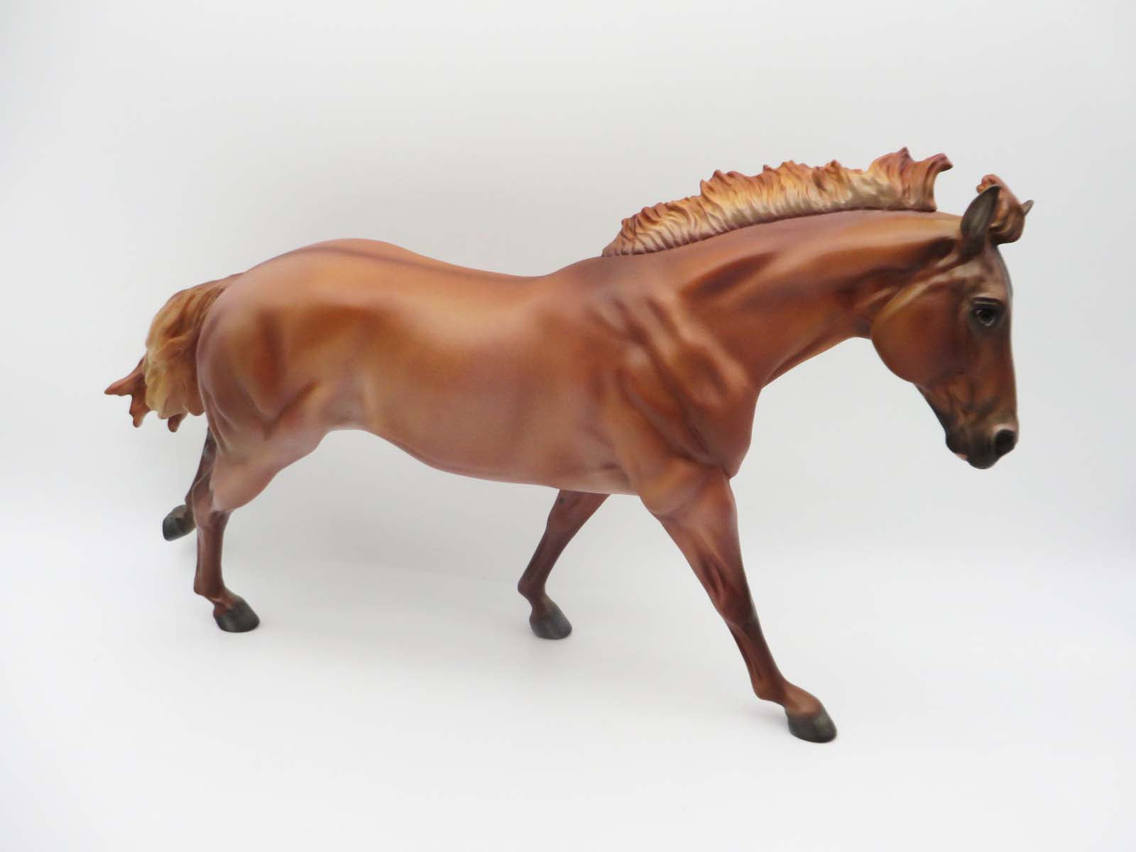 Charlie - OOAK - Red Dun Roan Running Stock Horse By Julie Keim - P&C 23