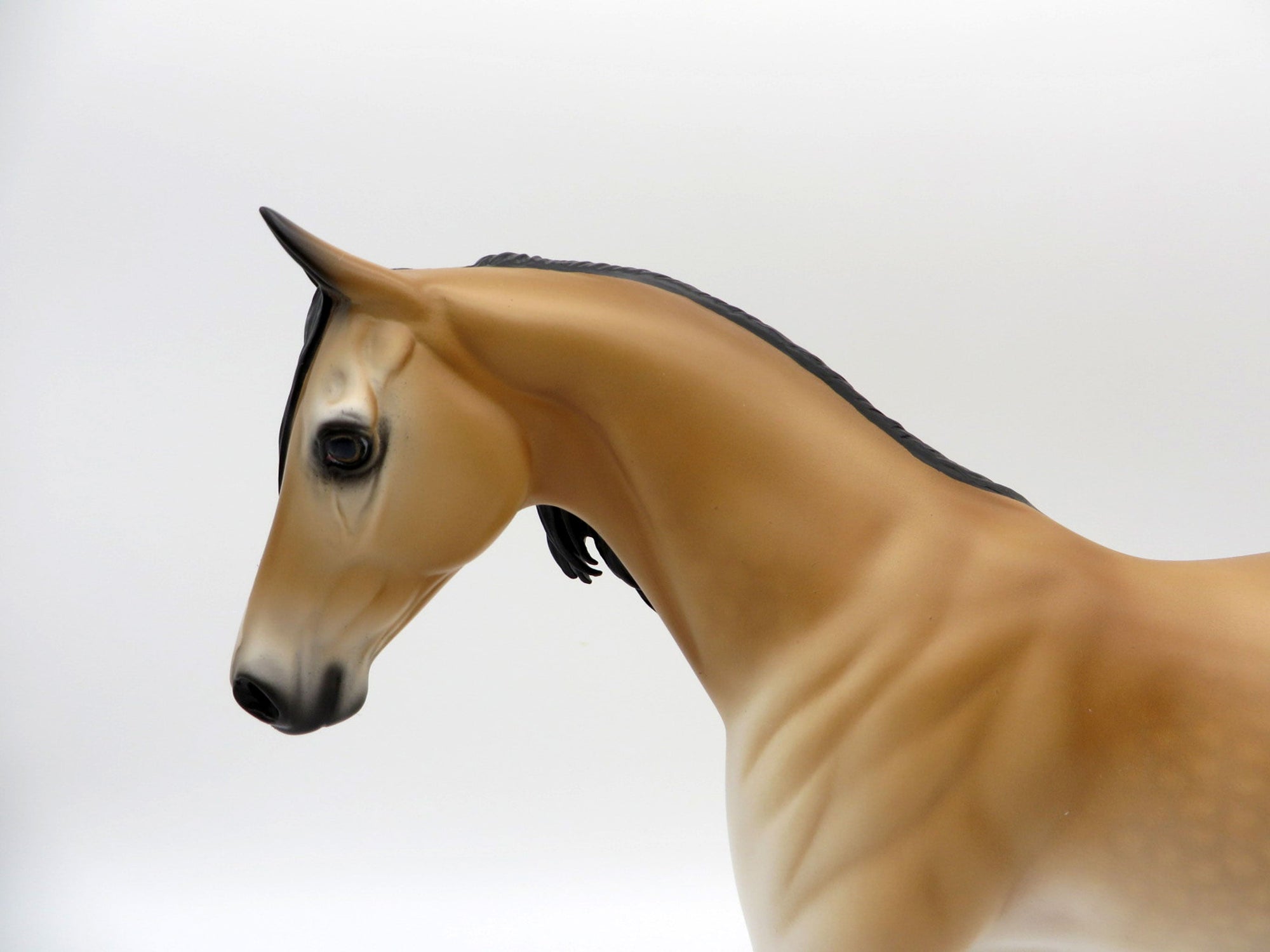 Charlie-OOAK Pangea Pony Painted By Audrey Dixon EQ 21