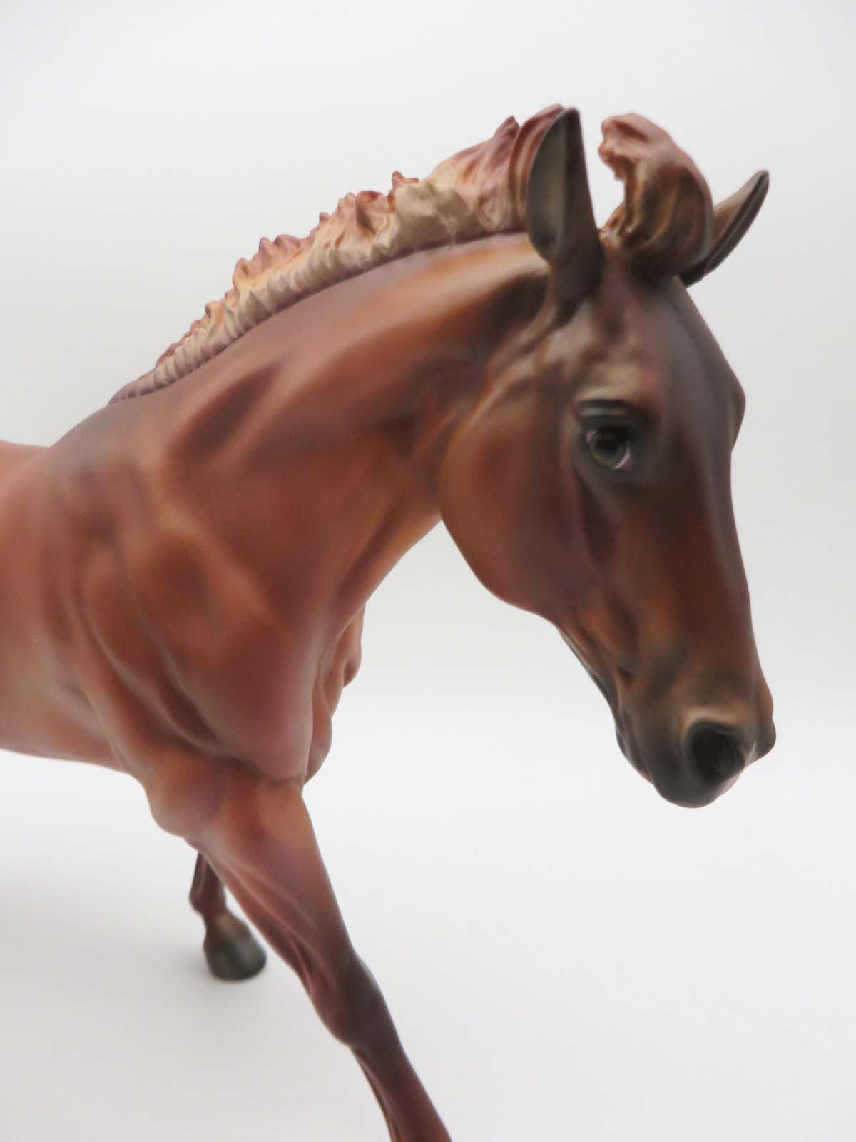 Charlie - OOAK - Red Dun Roan Running Stock Horse By Julie Keim - P&C 23