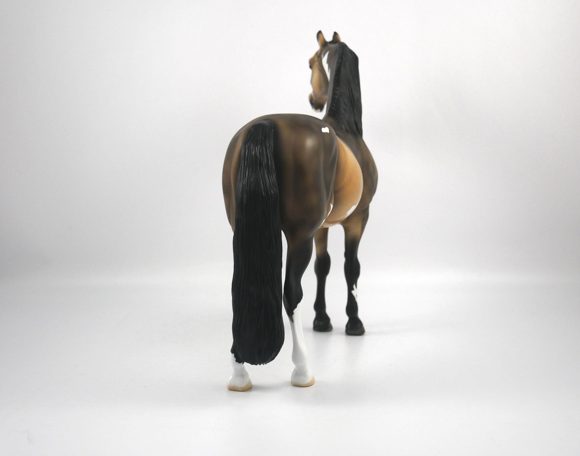 Charlie-OOAK Buckskin Paint Morgan by Ellen 1/29/21