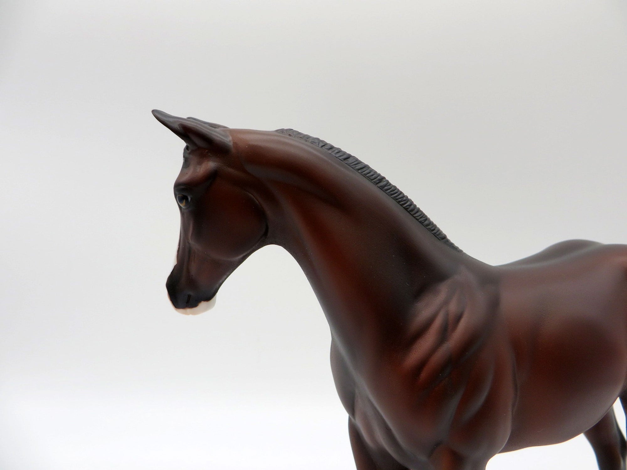 Charmander-OOAK Bay Weanling Painted By Ellen Robbins 5/14/21