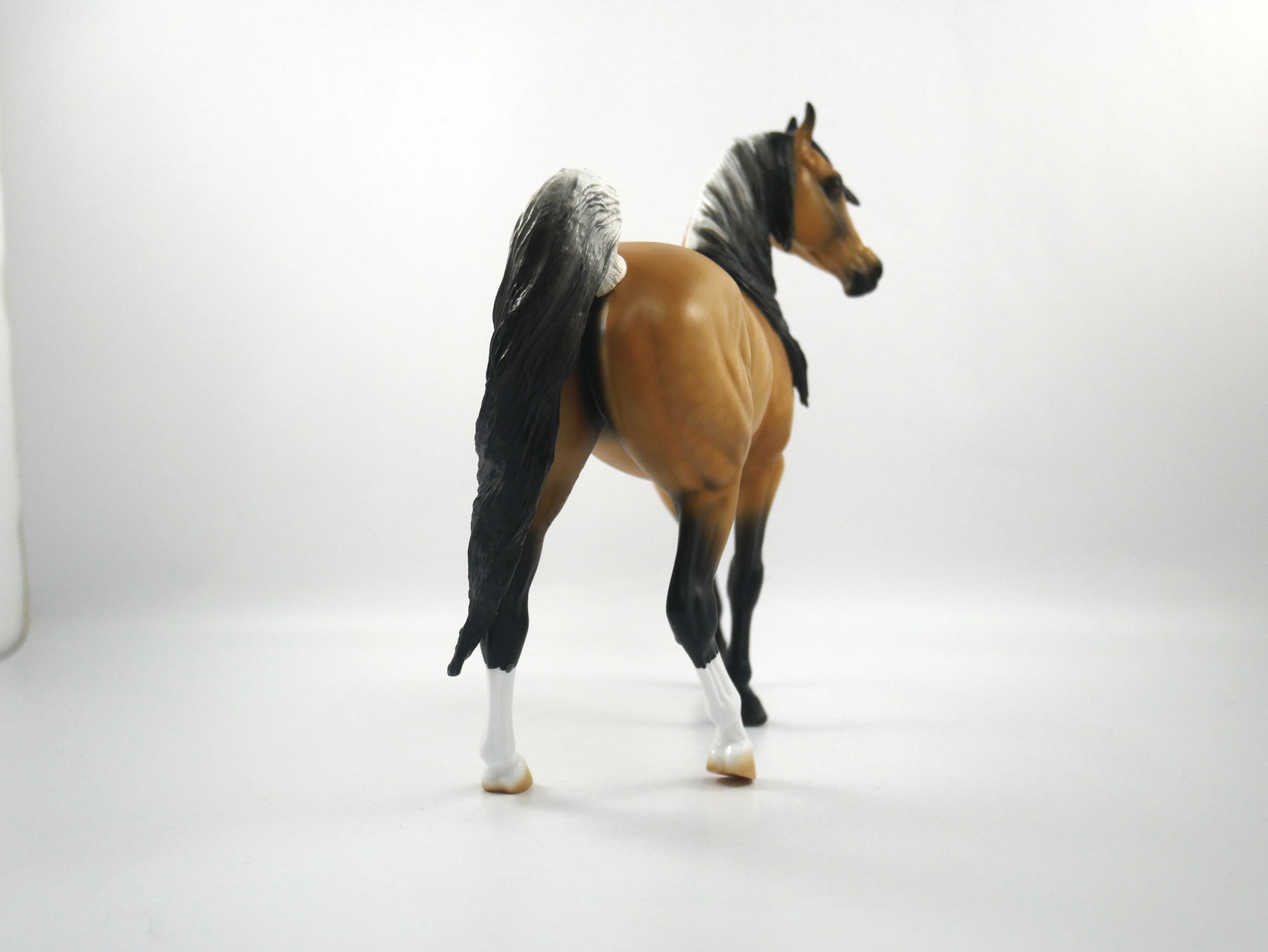 Cheerleader-LE-15 Buckskin Arabian Mare SB21