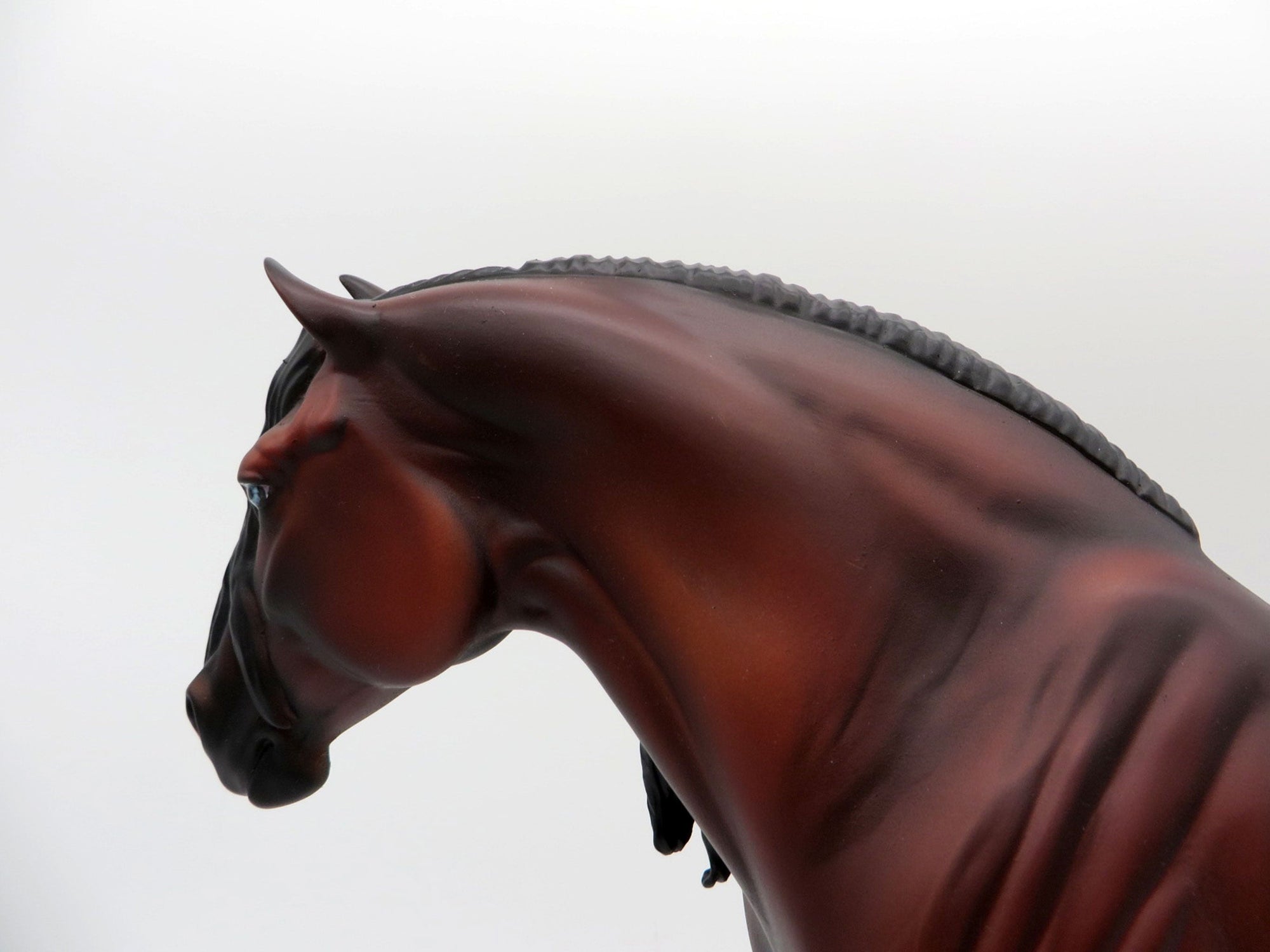 Flower-OOAK Etched Bay Pinto SHCF 2021