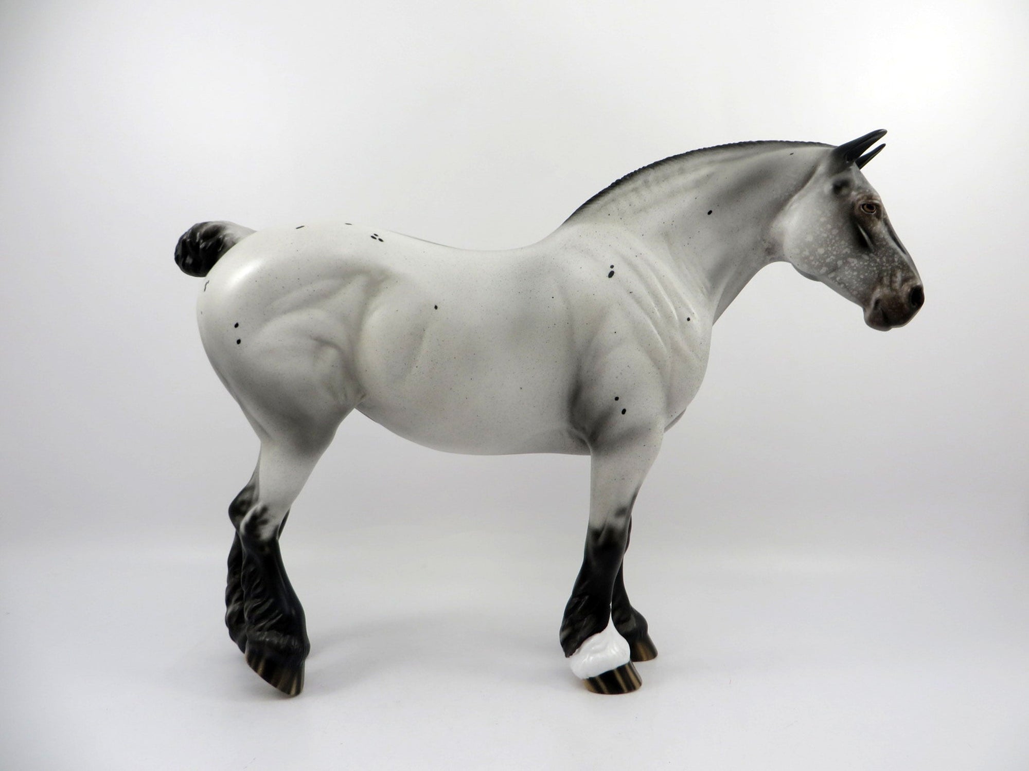 Chicken-OOAK Few Spot Appaloosa Heavy Draft Mare Bingo 3/18