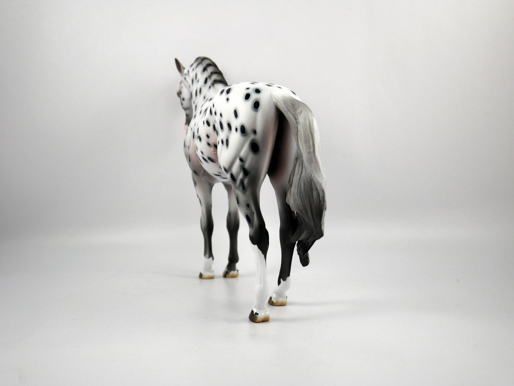 Chief-OOAK Loud Appaloosa Andalusian Painted by Dawn Quick SB21
