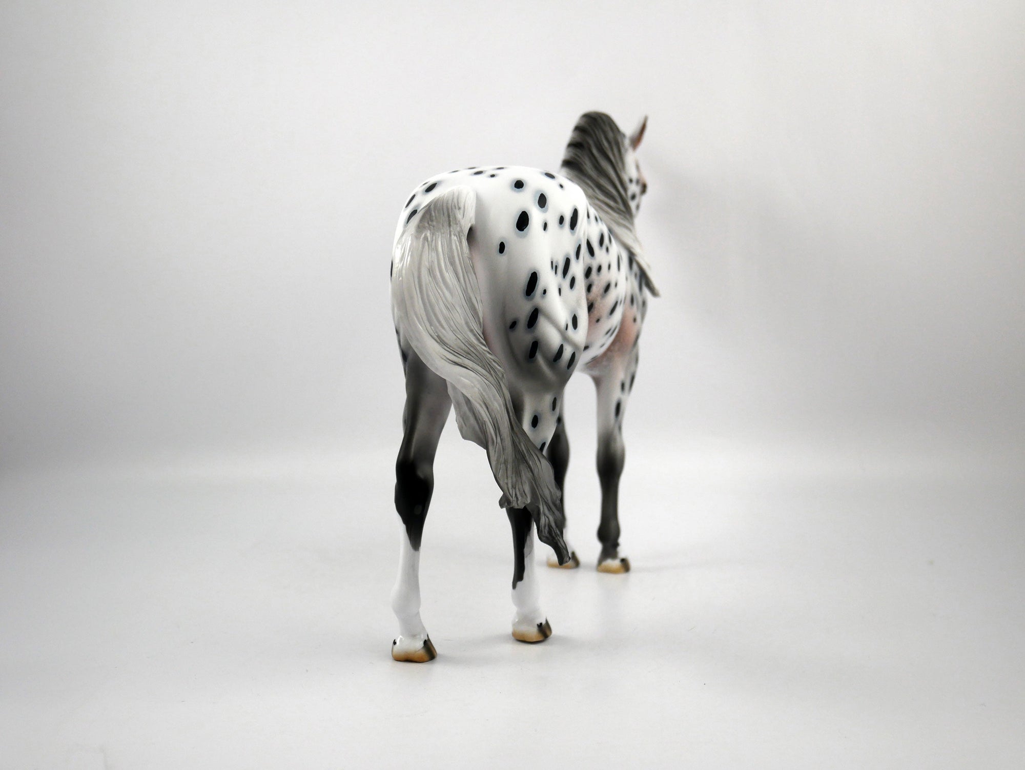 Chief-OOAK Loud Appaloosa Andalusian Painted by Dawn Quick SB21