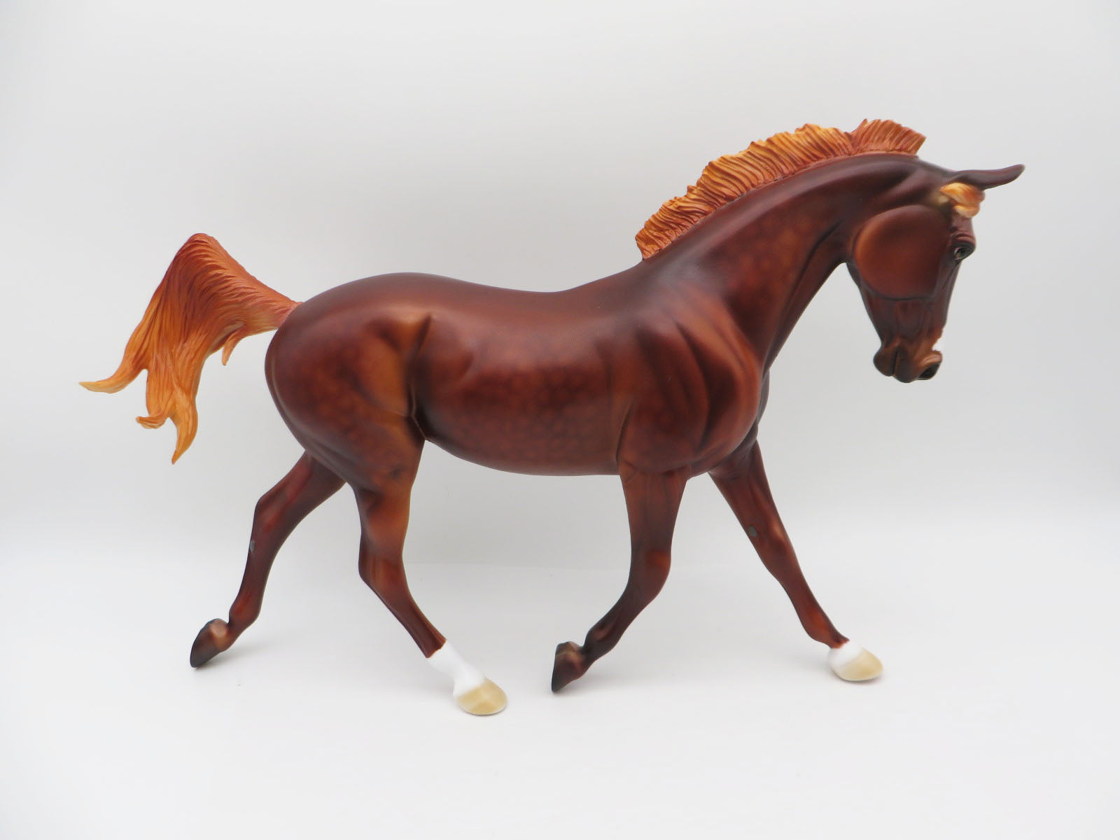 Cinnamon - LE-8 Dappled Chestnut Palouse By Dawn Quick P&C 23