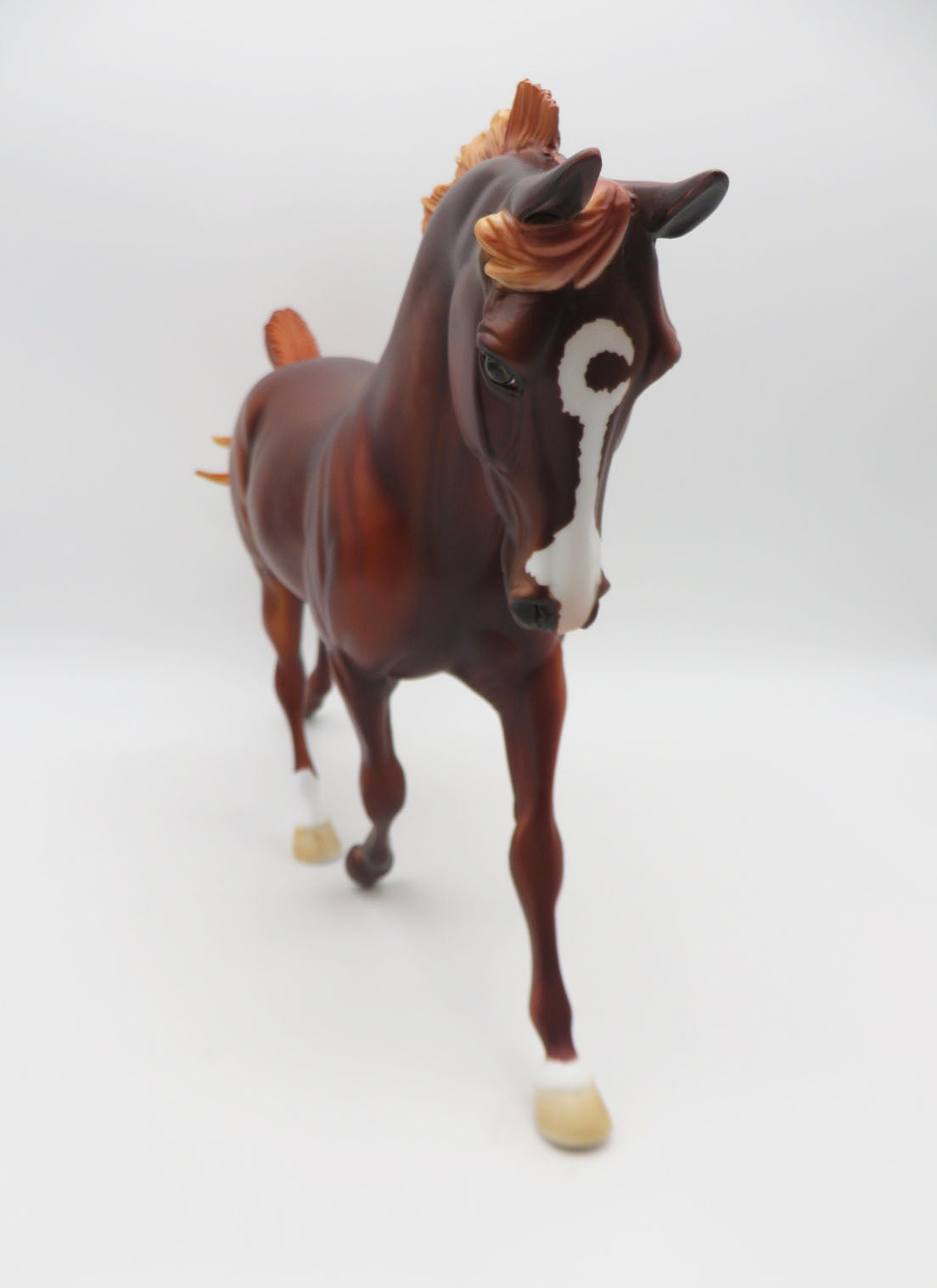 Cinnamon - LE-8 Dappled Chestnut Palouse By Dawn Quick P&C 23