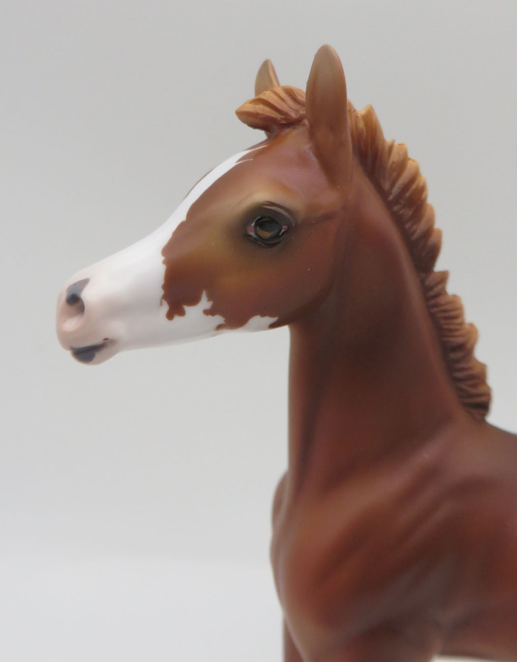 Cinnamon Twist - LE 15 - Customized Chestnut Arab Foal by Ashley Palmer - Christmas Tails 2022 - CT22