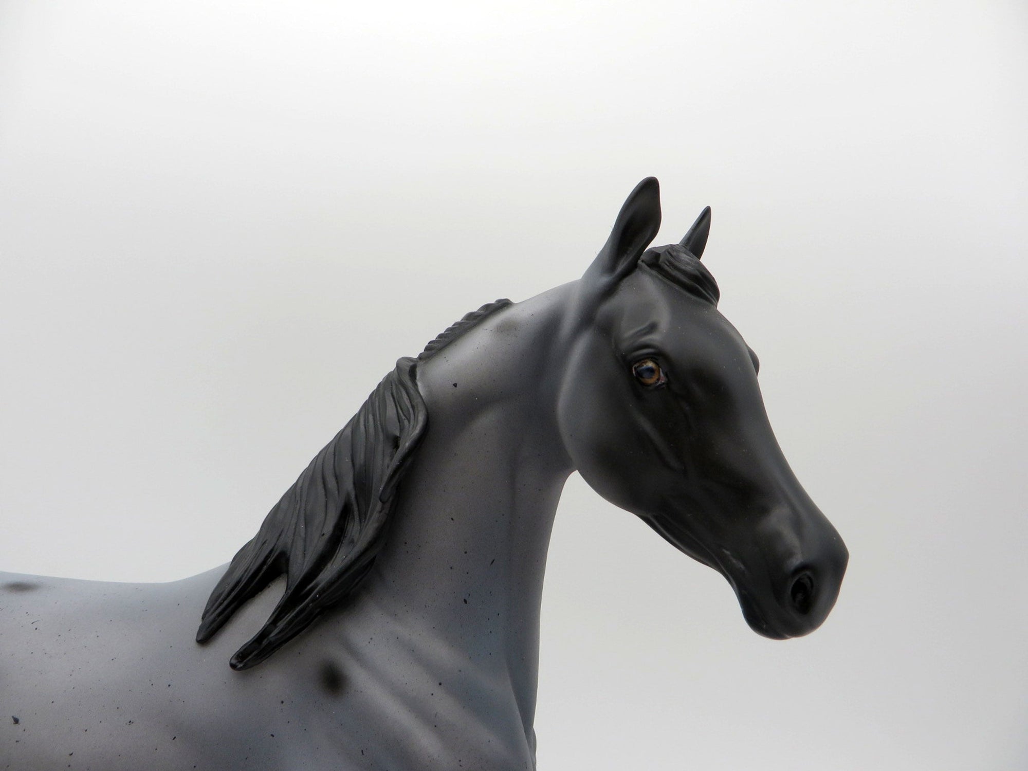 Cirroc-OOAK Blue Roan Arabian Mare SHCF 2021