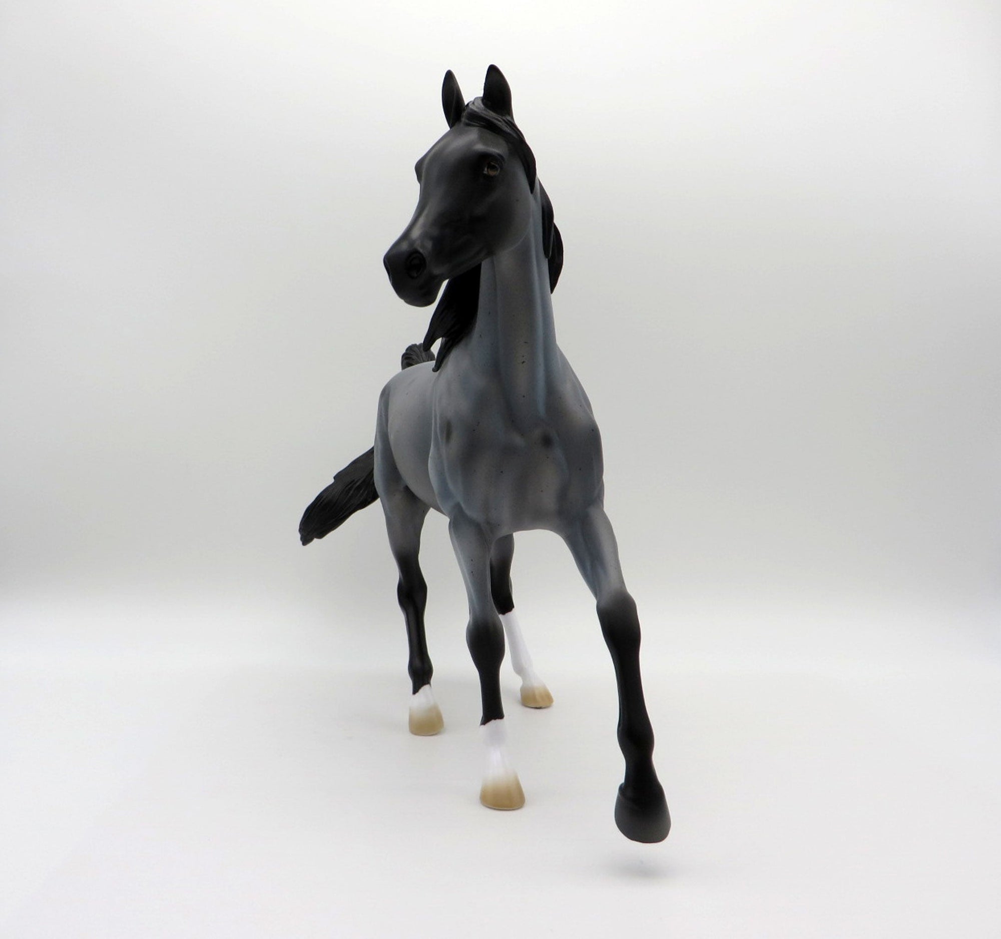 Cirroc-OOAK Blue Roan Arabian Mare SHCF 2021