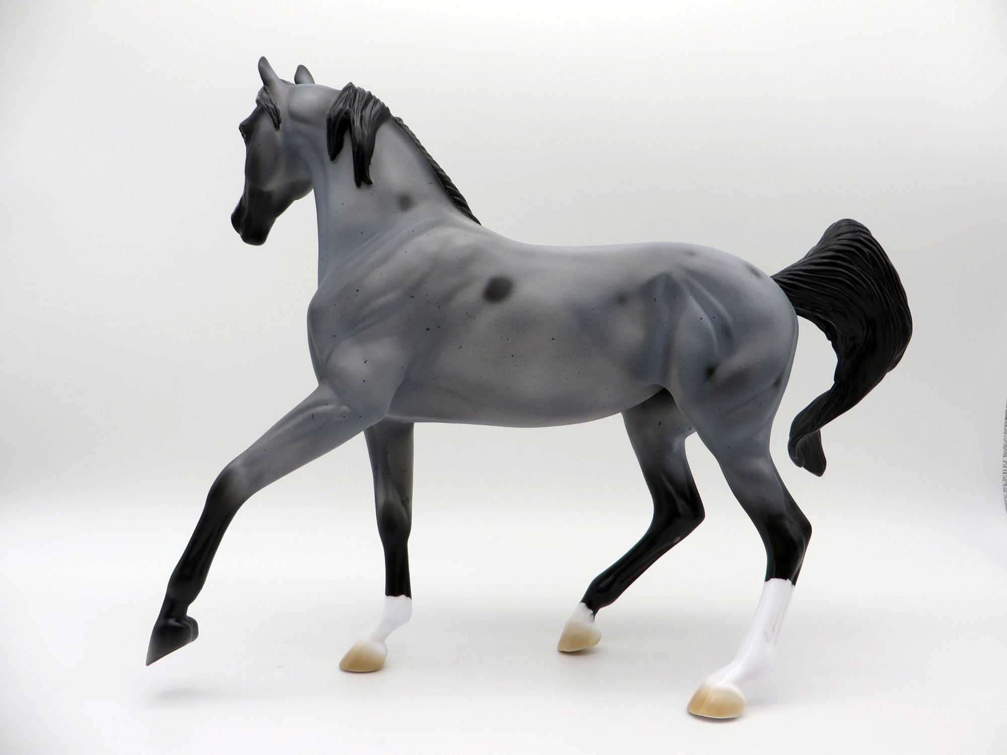 Cirroc-OOAK Blue Roan Arabian Mare SHCF 2021