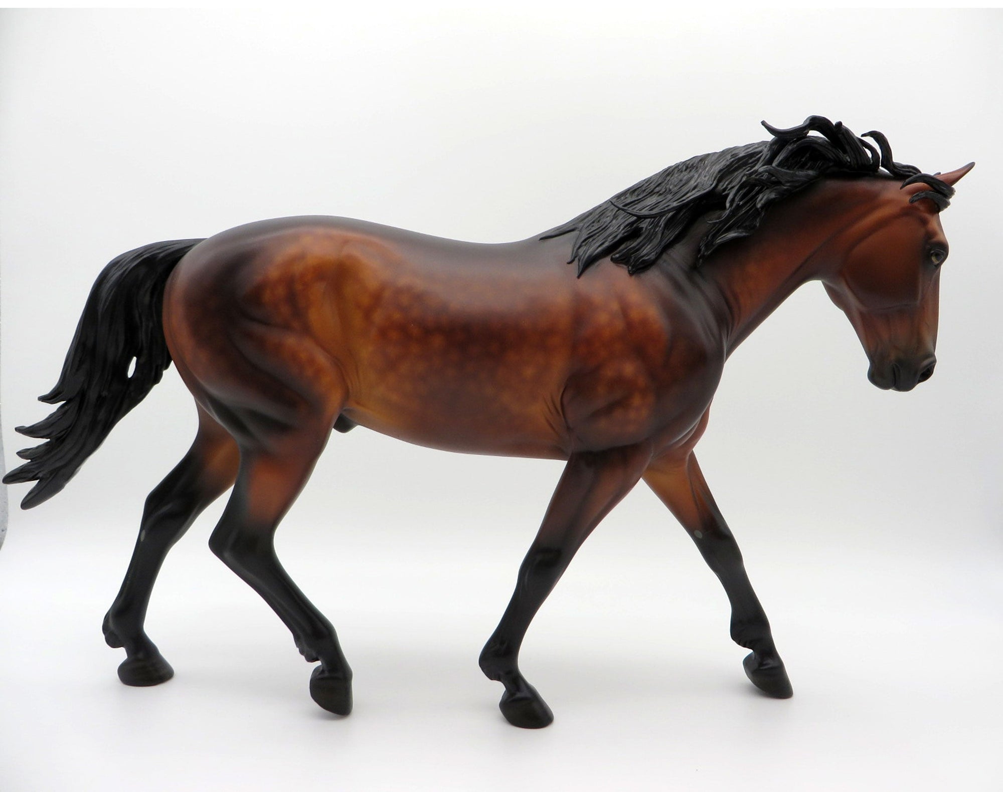 Cliffhanger-OOAK Dapple Bay Irish Drafter SHCF 21