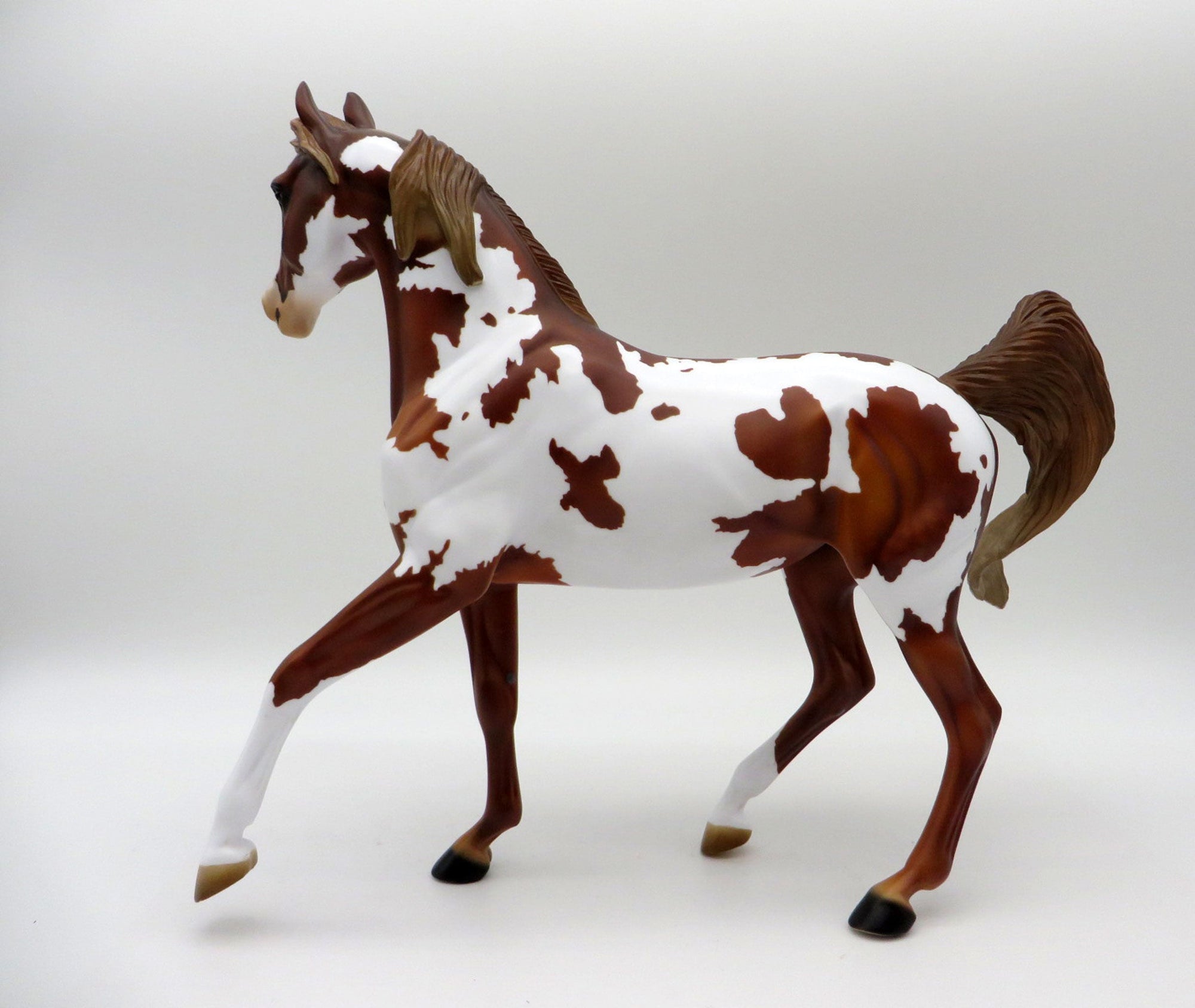 Coco-LE-5 Chestnut Pinto Arabian Mare 5/14/21