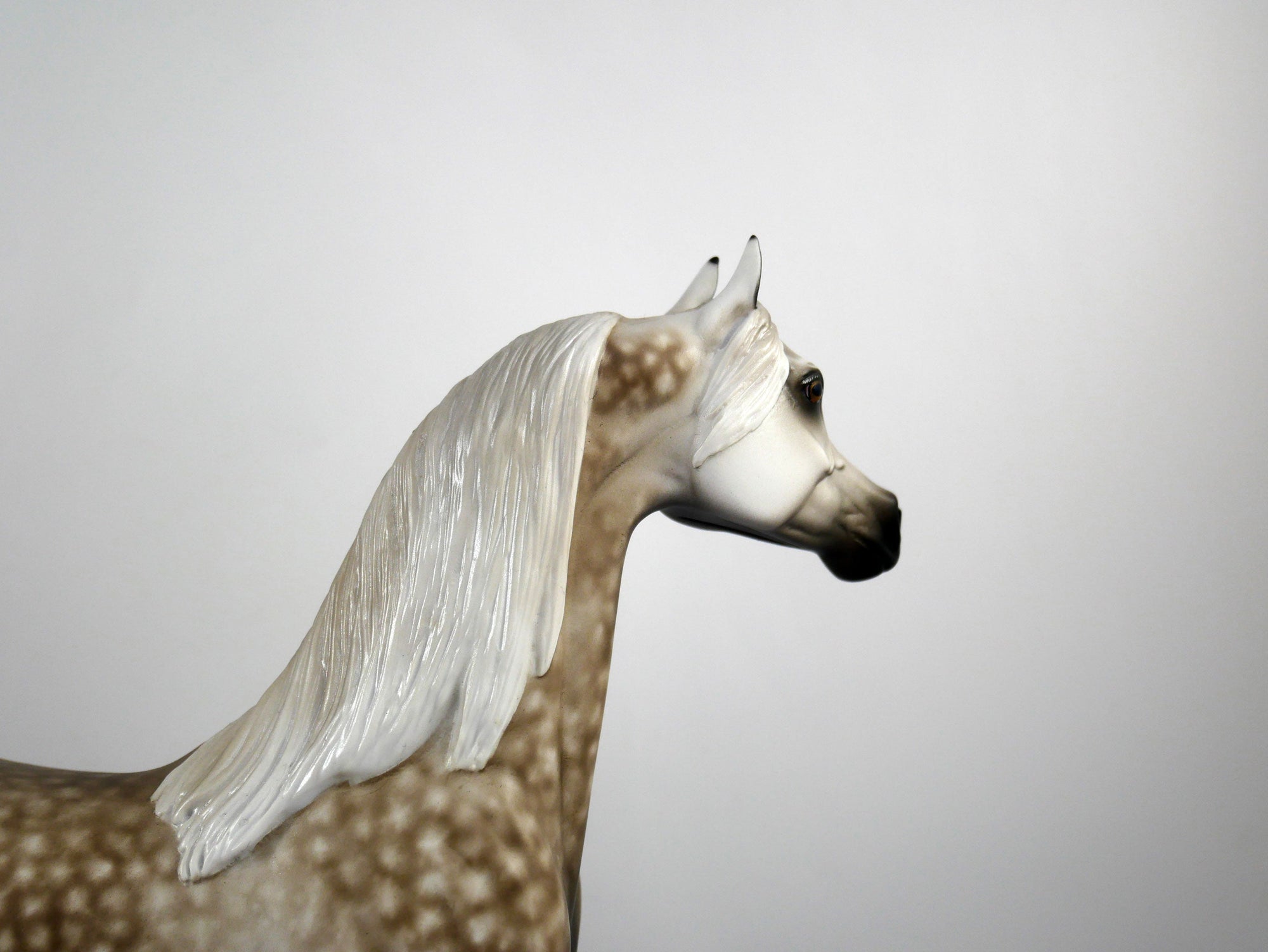 Cole Trickle-OOAK Dapple Grey Arabian Painted By Sheryl Leisure 1/15/21