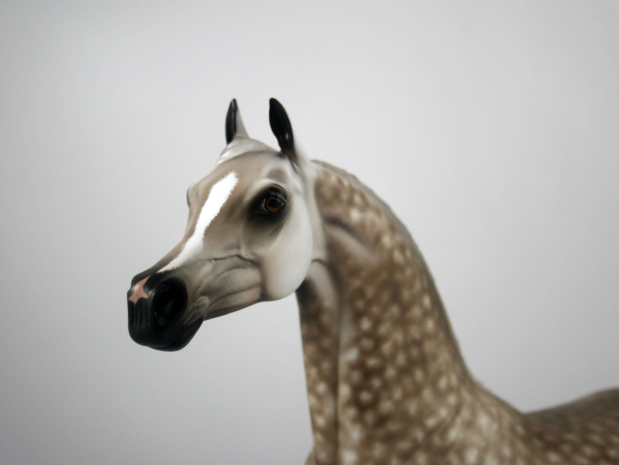 Cole Trickle-OOAK Dapple Grey Arabian Painted By Sheryl Leisure 1/15/21