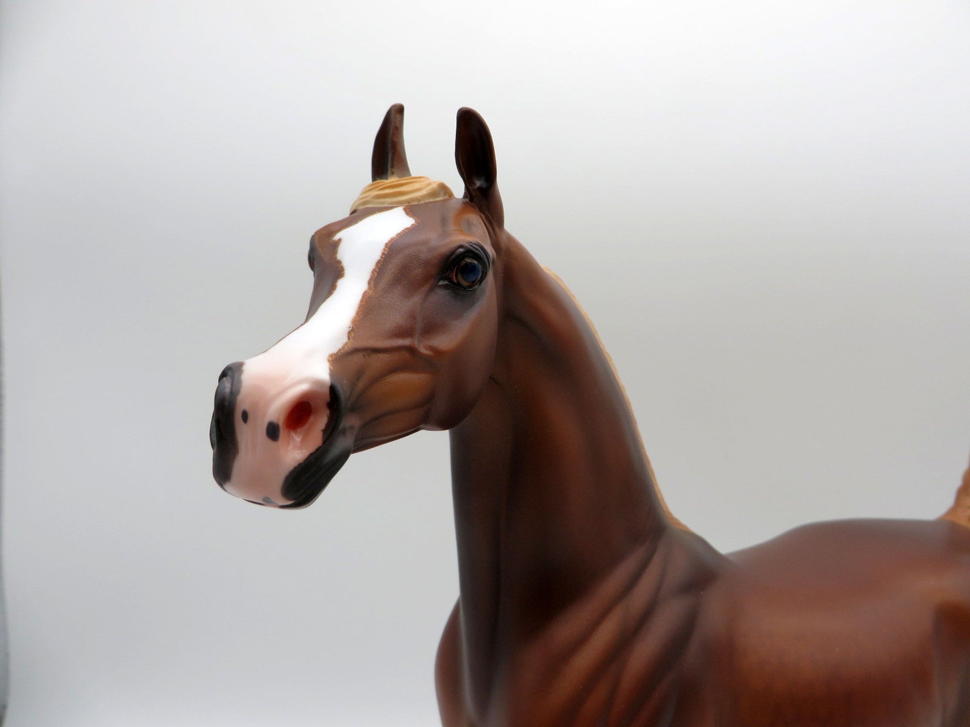 Columbia-OOAK Chestnut Arabian Painted By Caroline Boydston